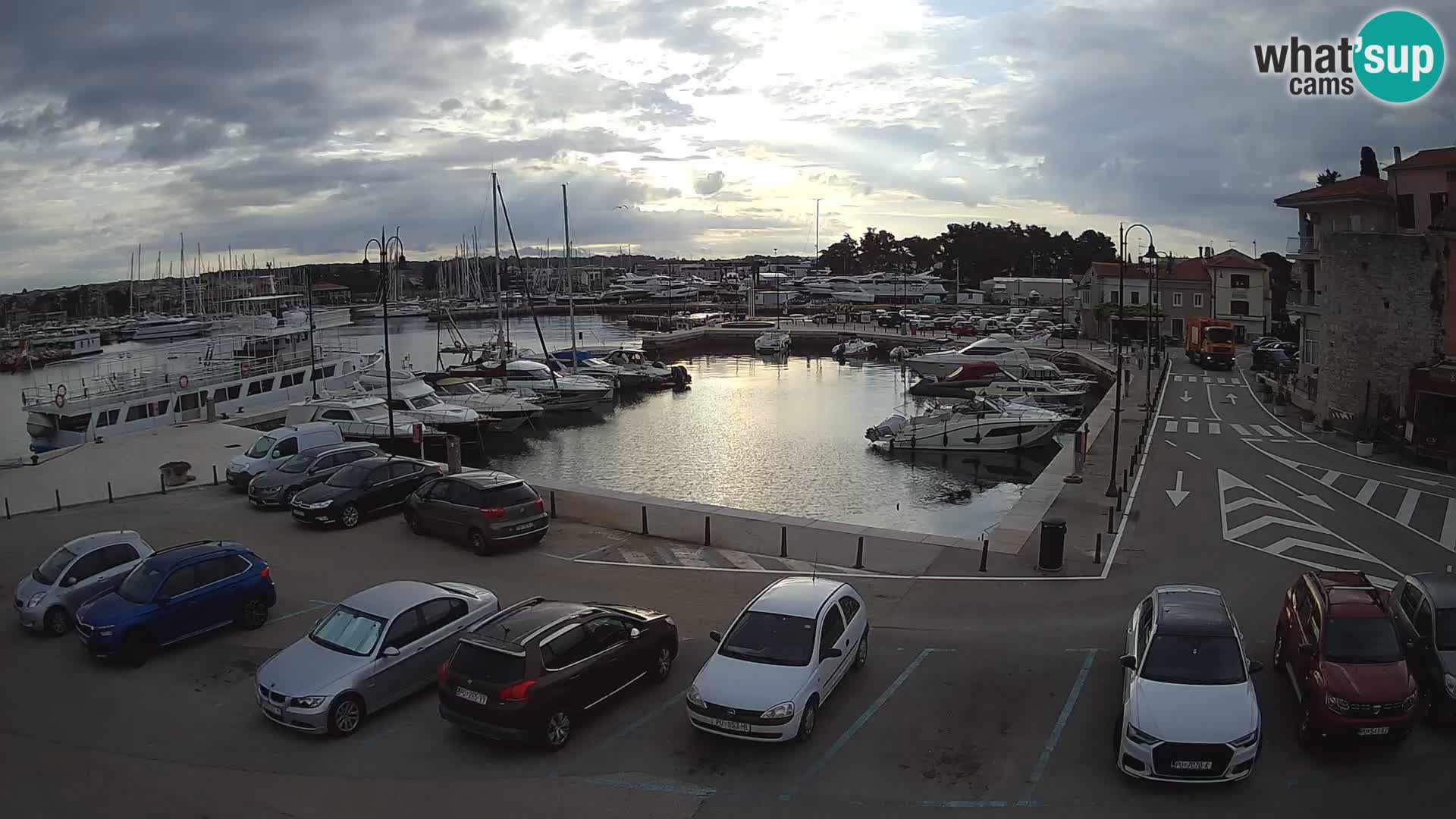 Novigrad | Porporela marina