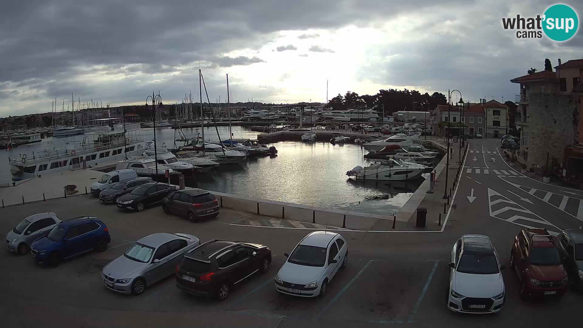 Novigrad | Porporela marina