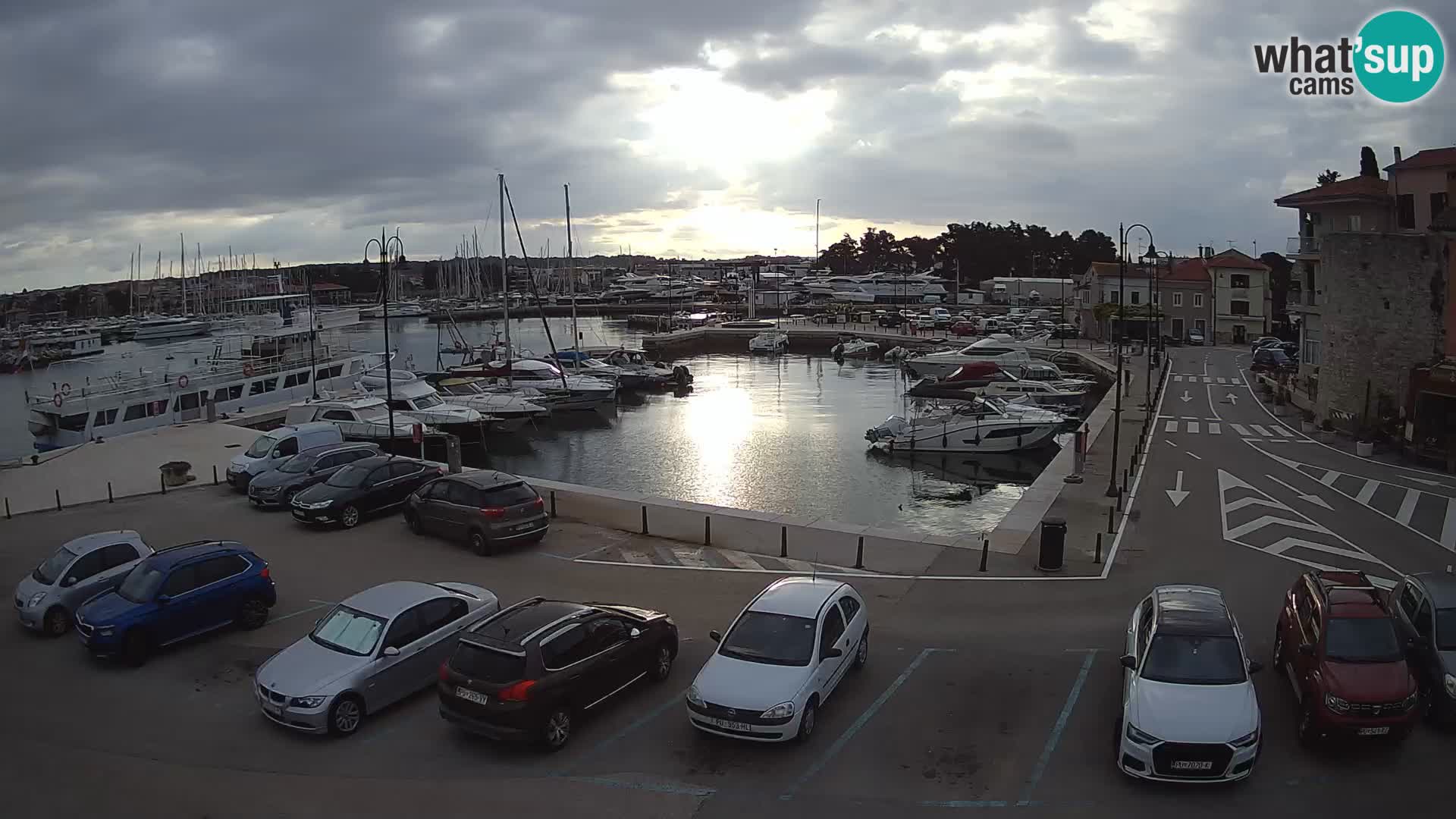 Novigrad | Porporela marina