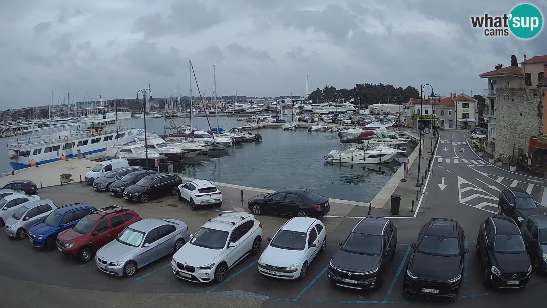 Novigrad | Porporela marina