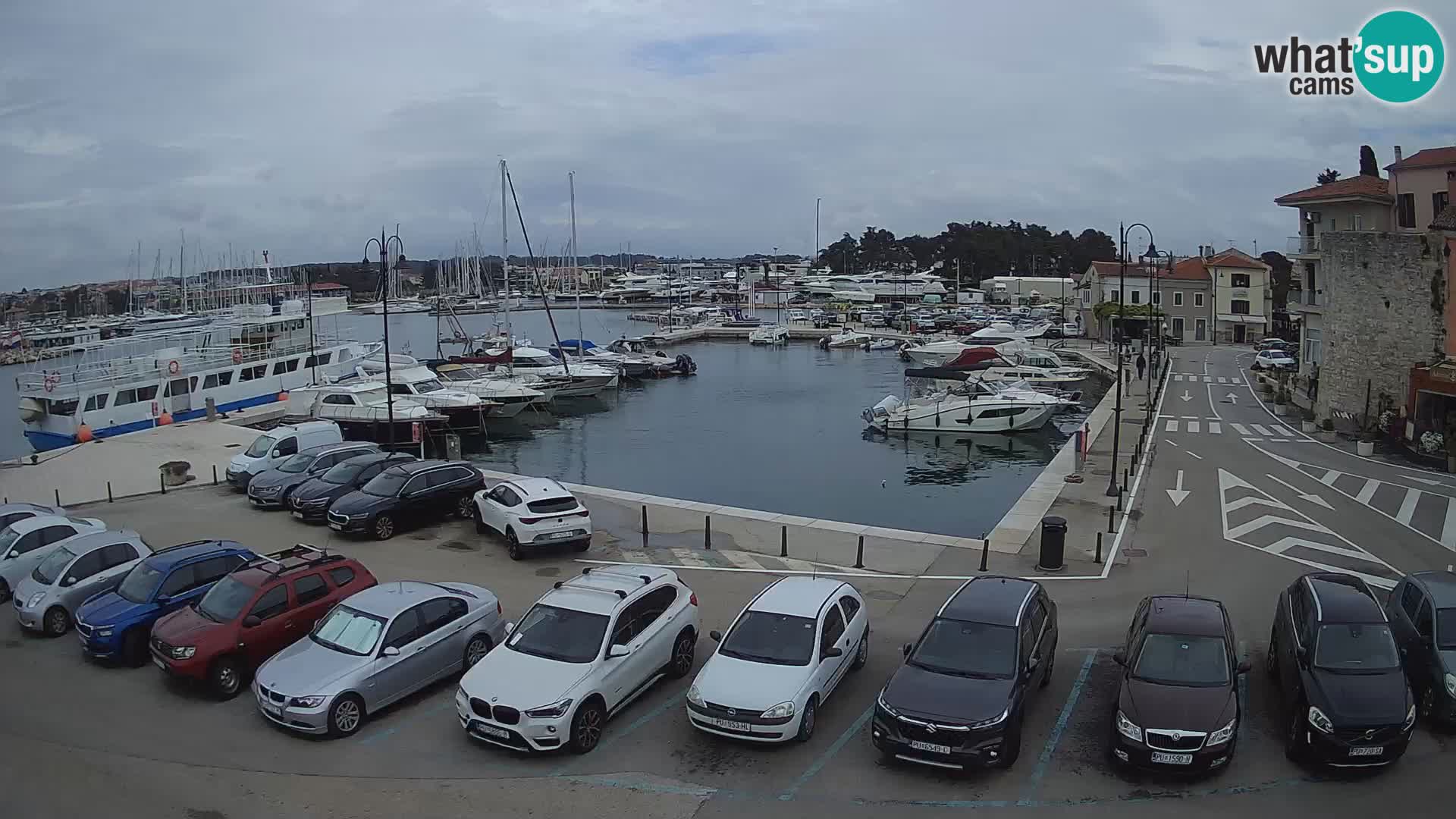 Novigrad | Porporela marina