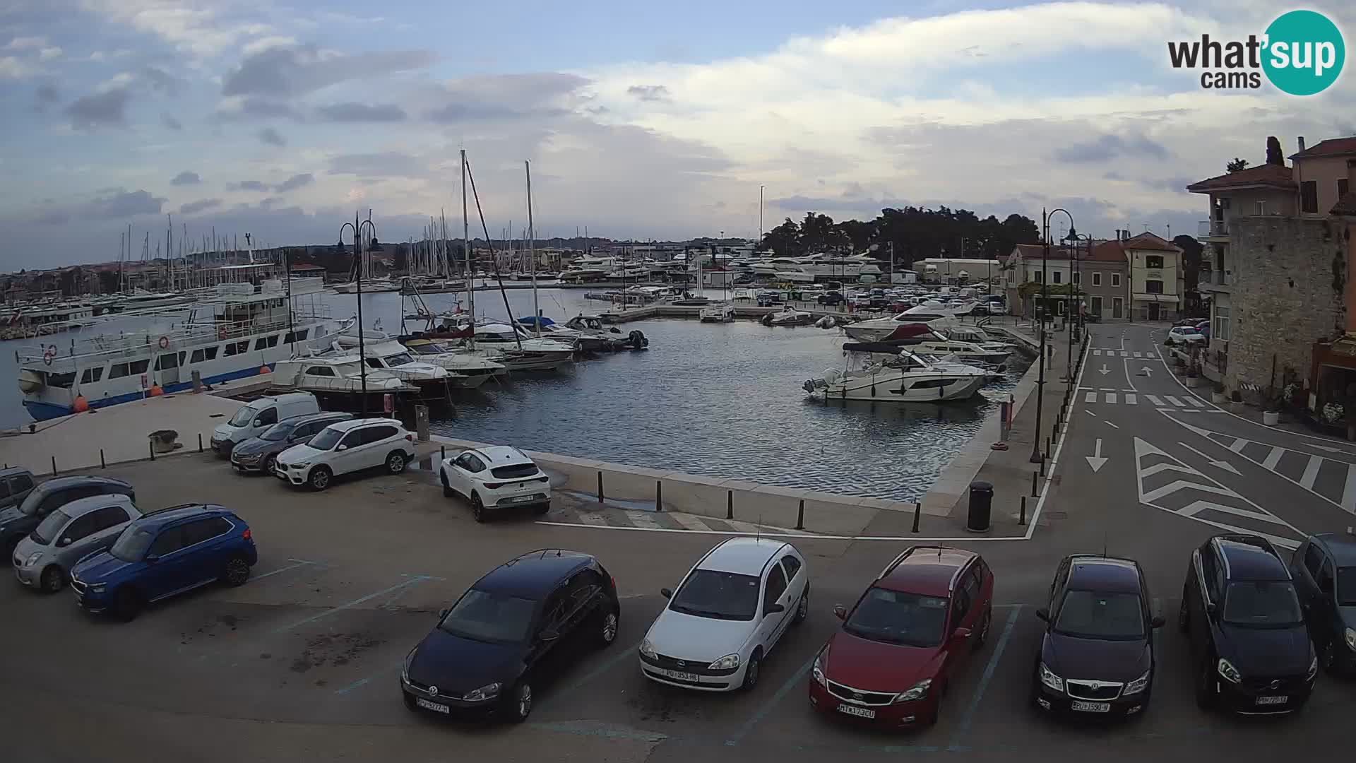 Novigrad | Porporela marina
