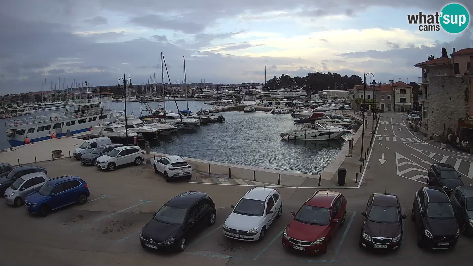 Novigrad | Porporela marina