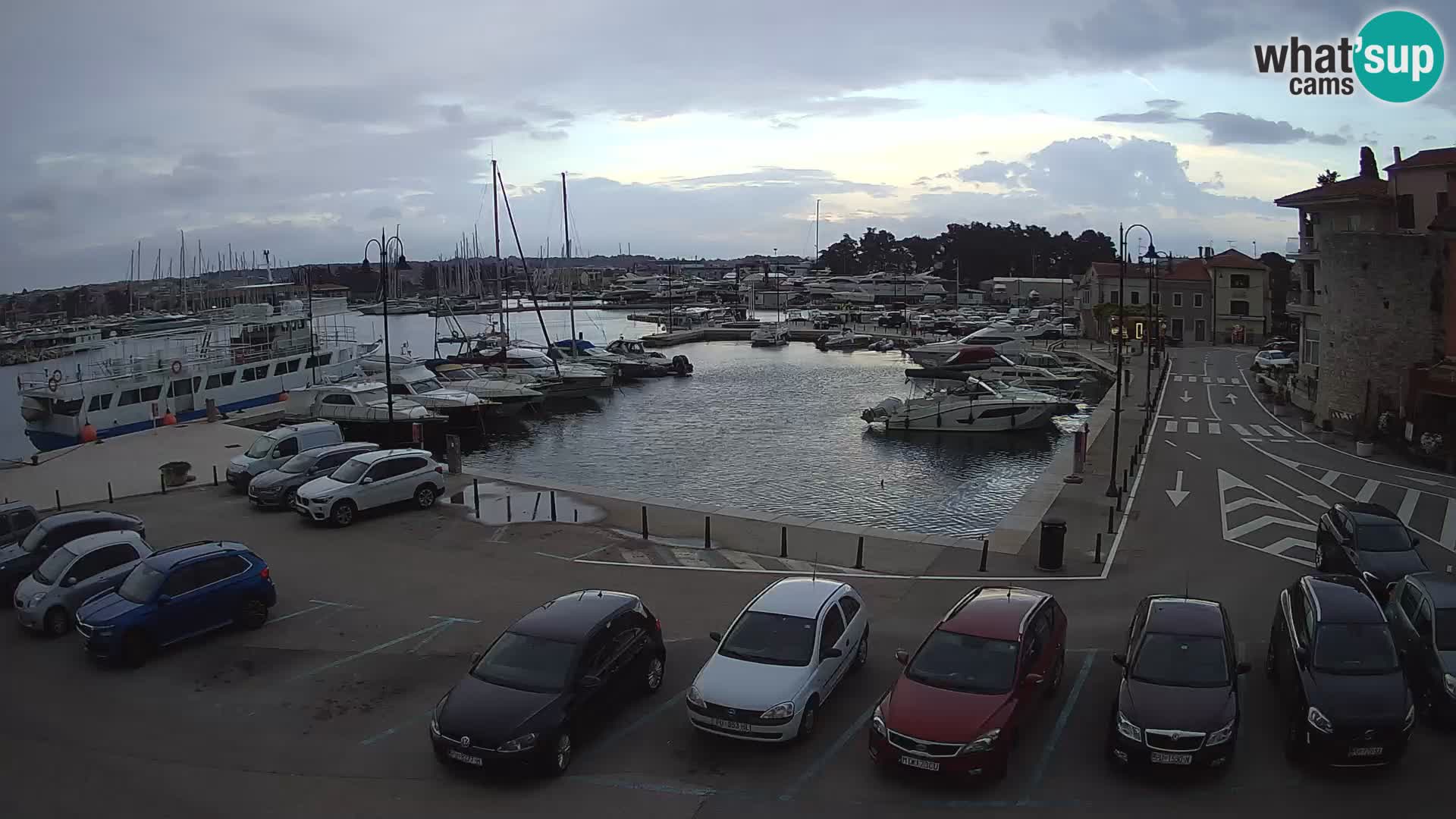 Novigrad | Porporela marina