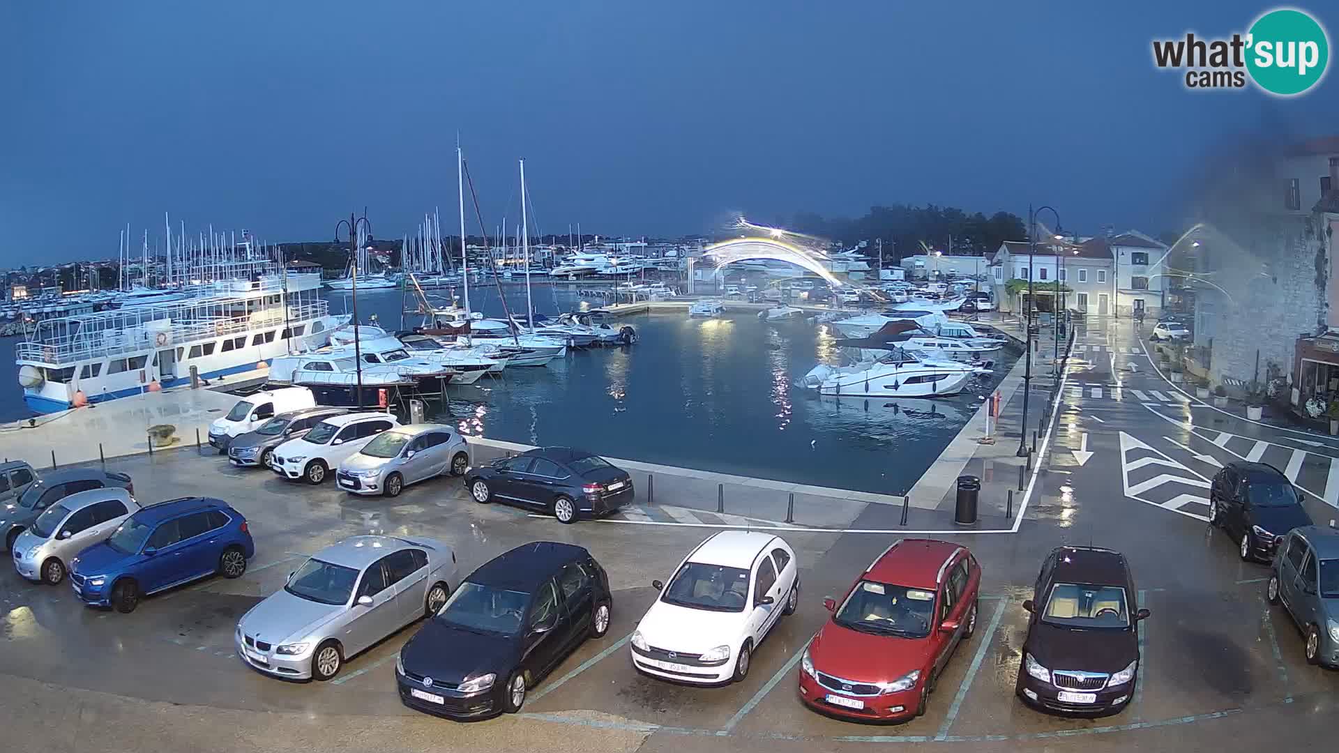 Novigrad | Porporela marina