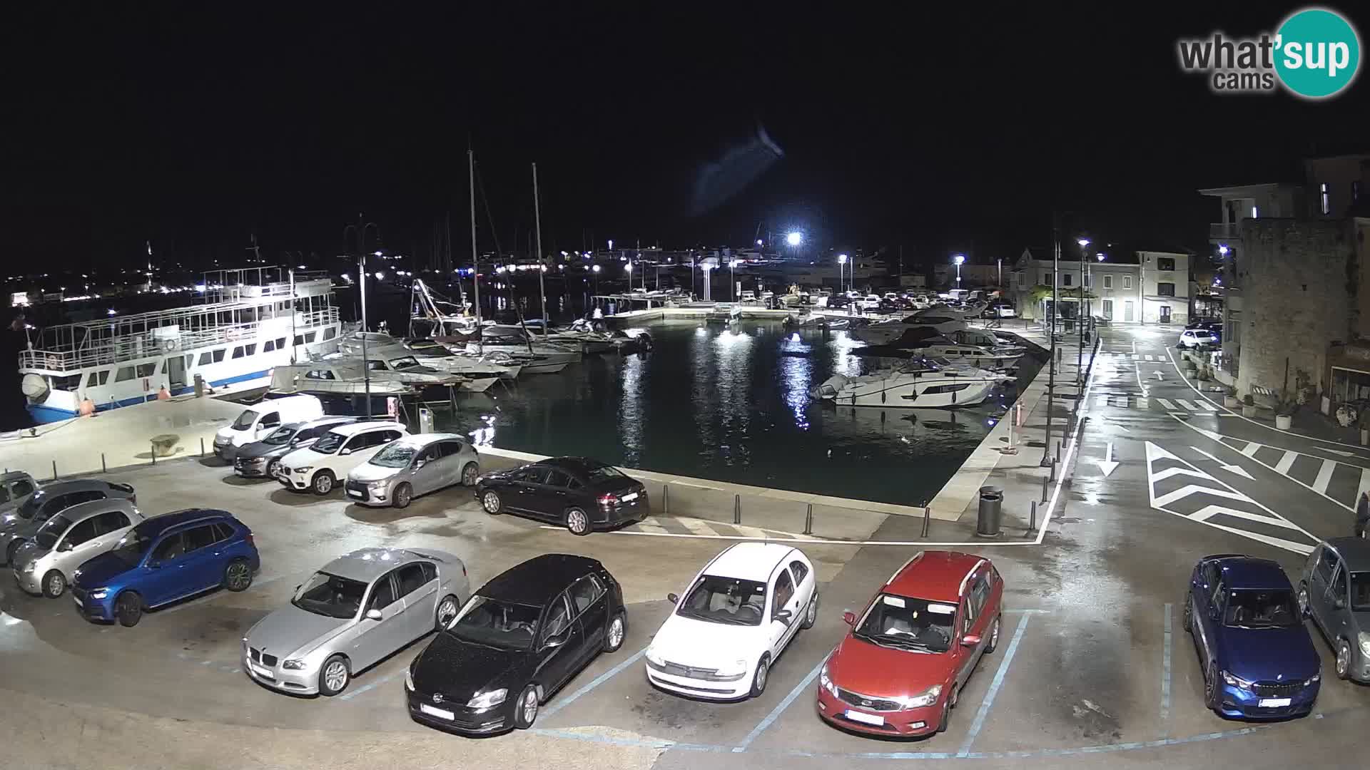 Novigrad | Porporela marina