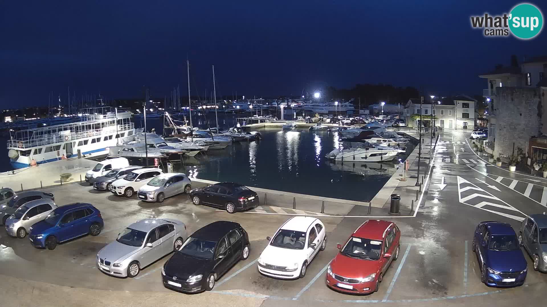 Novigrad | Porporela marina