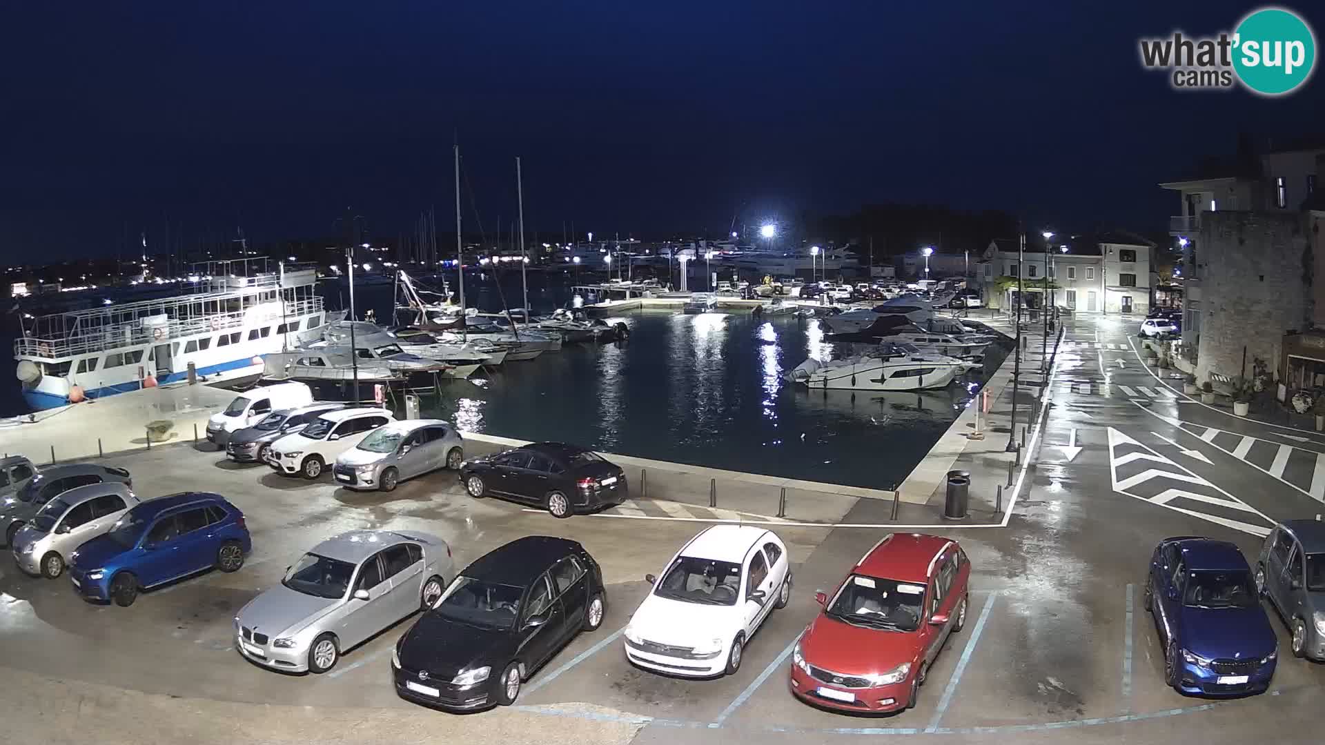 Novigrad | Porporela marina