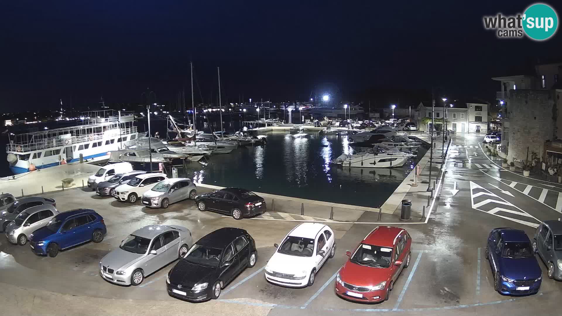 Novigrad | Porporela marina