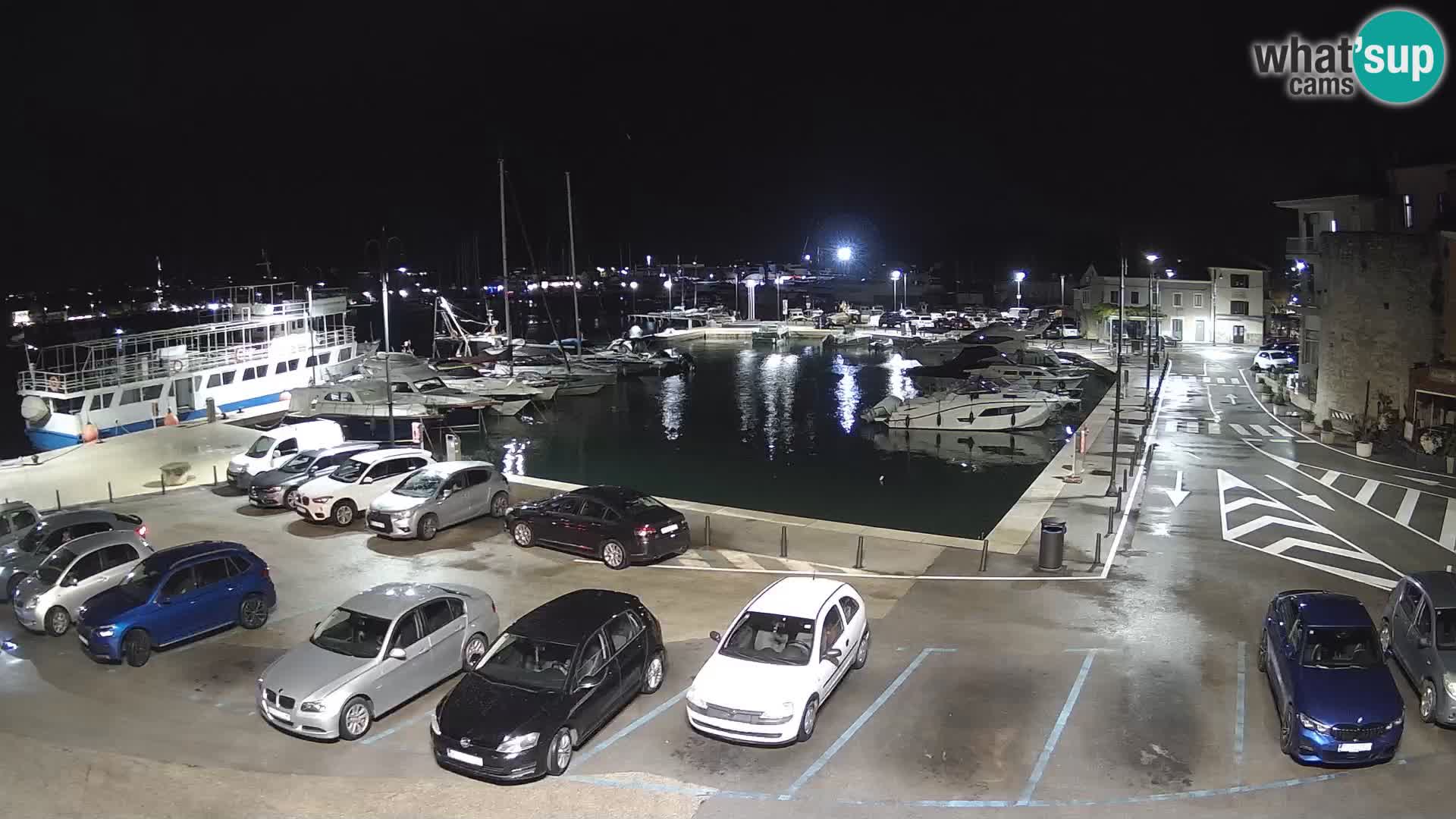 Novigrad | Porporela marina