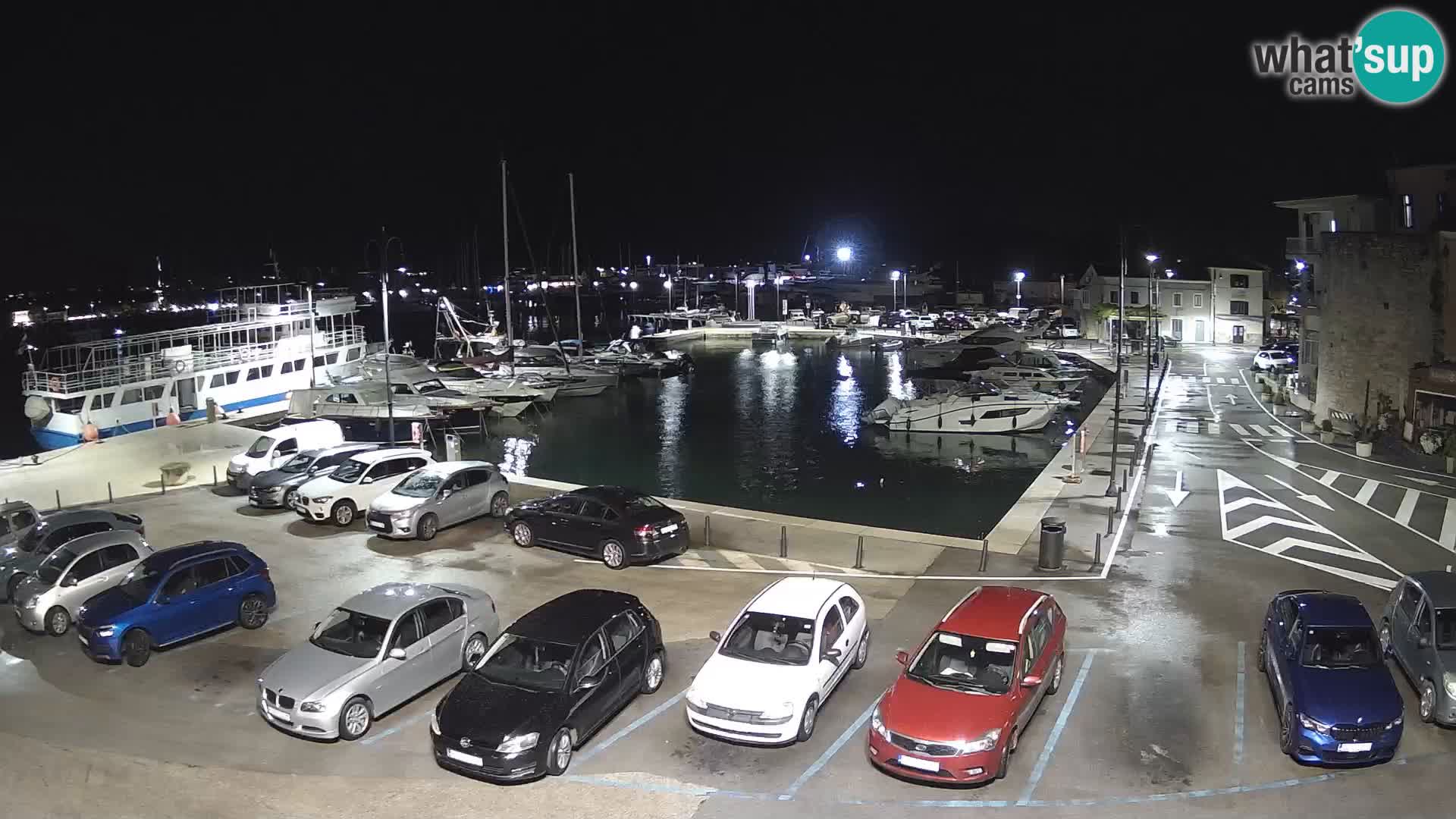 Novigrad | Porporela marina