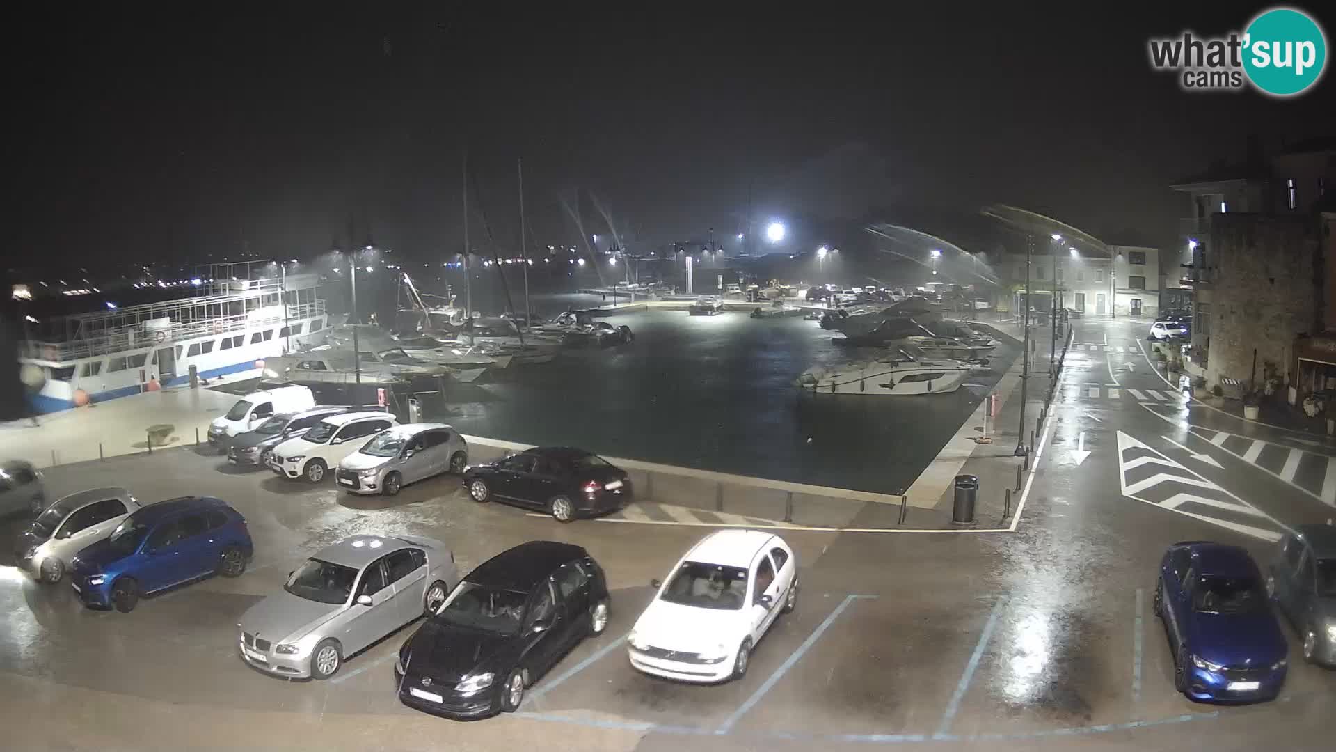 Novigrad | Porporela marina