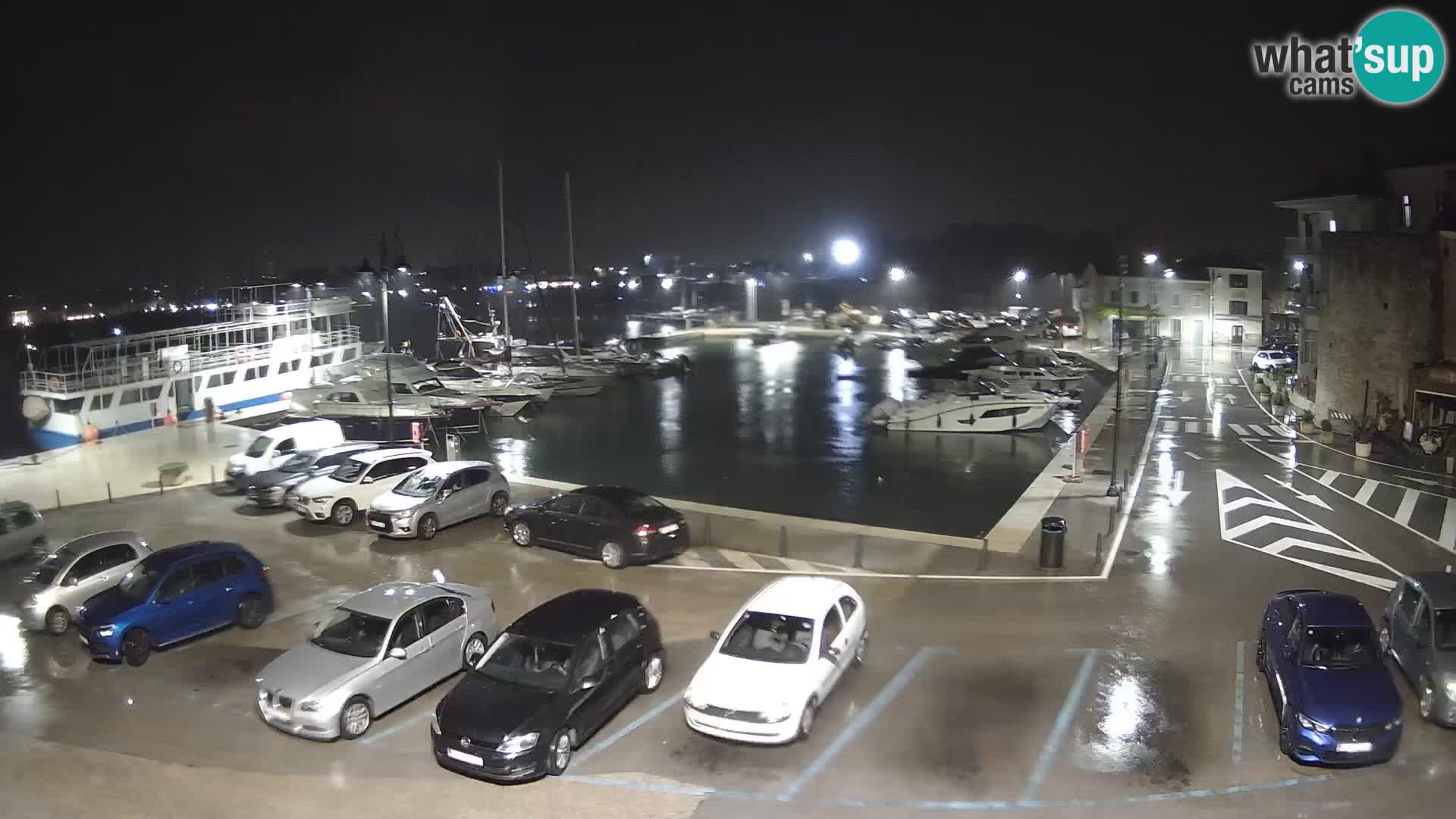 Novigrad | Porporela marina