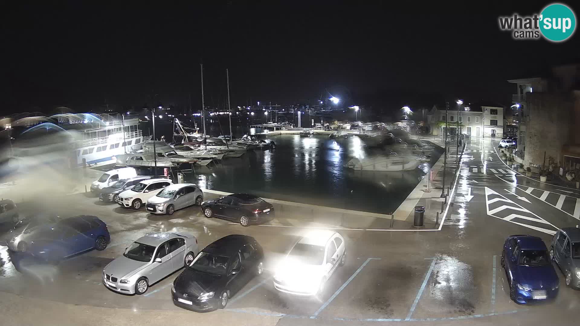 Novigrad | Porporela marina