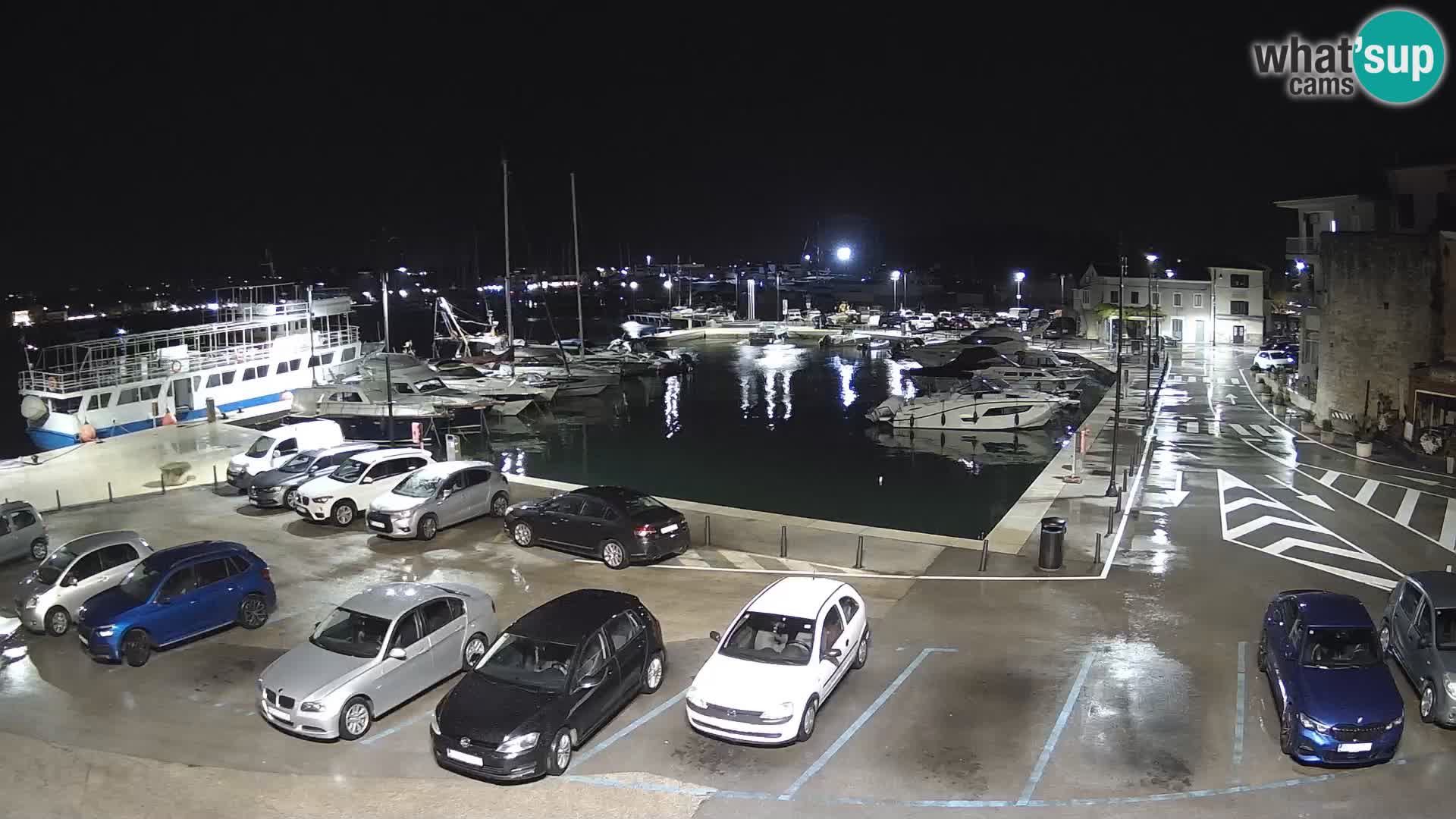 Novigrad | Porporela marina