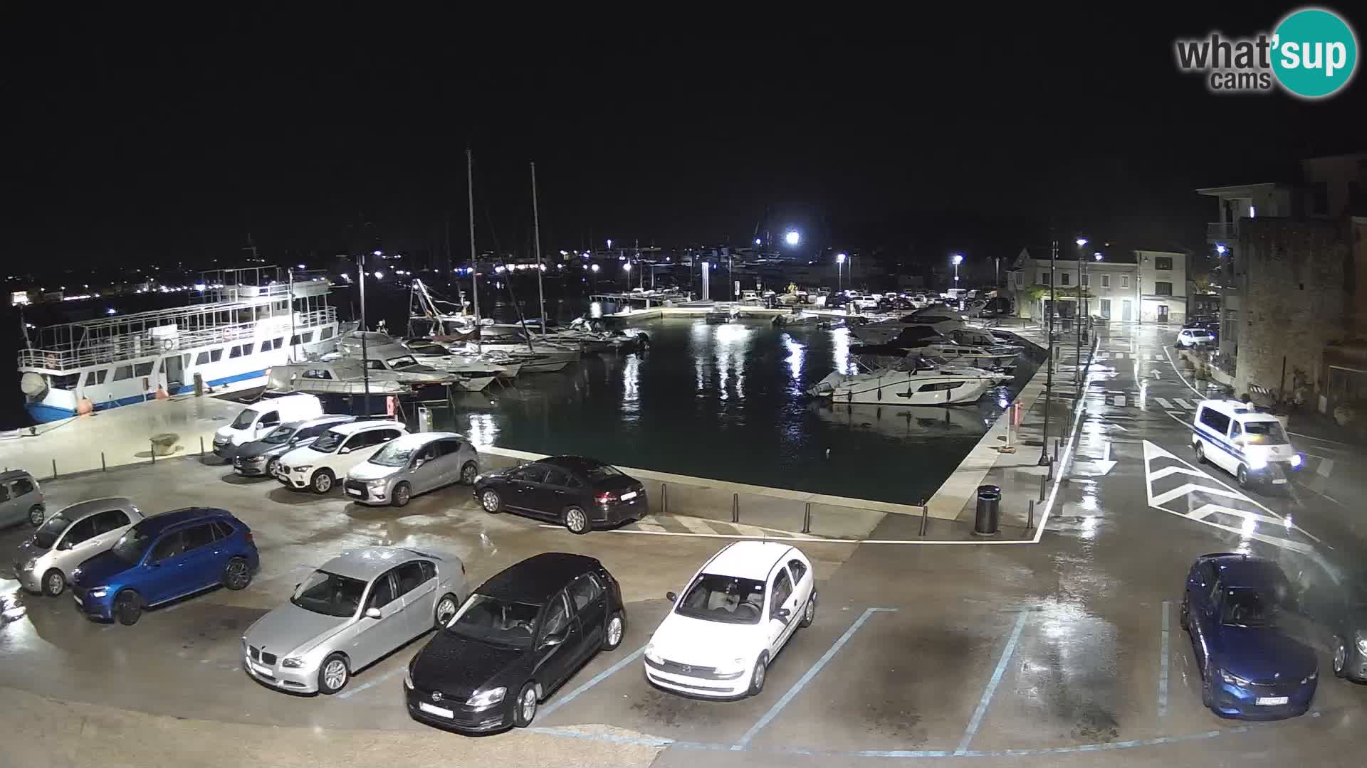Novigrad | Porporela marina