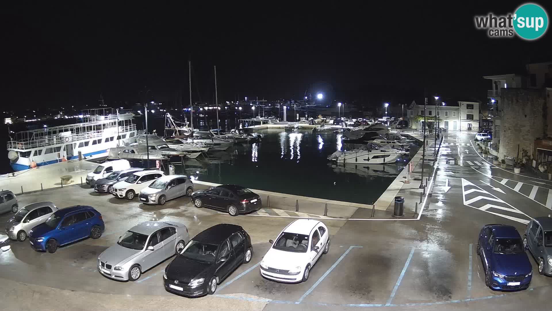 Novigrad | Porporela marina