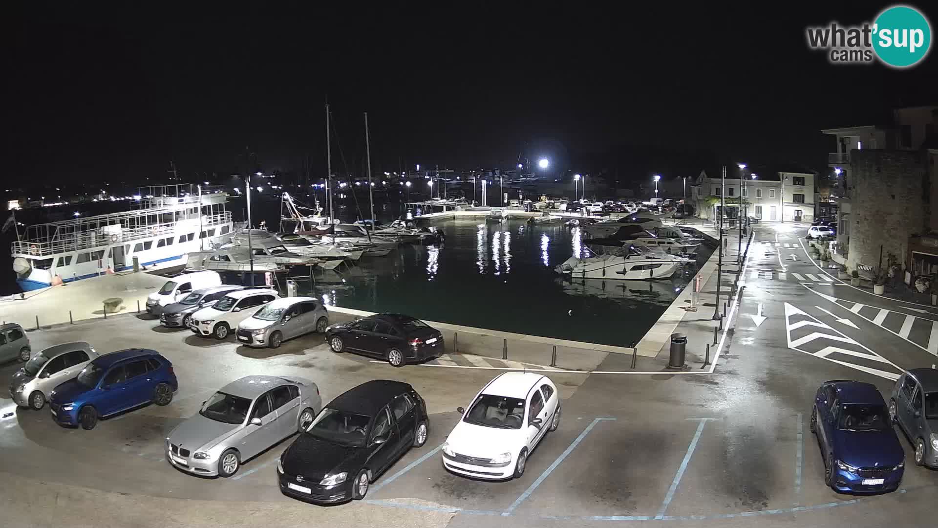 Novigrad | Porporela marina