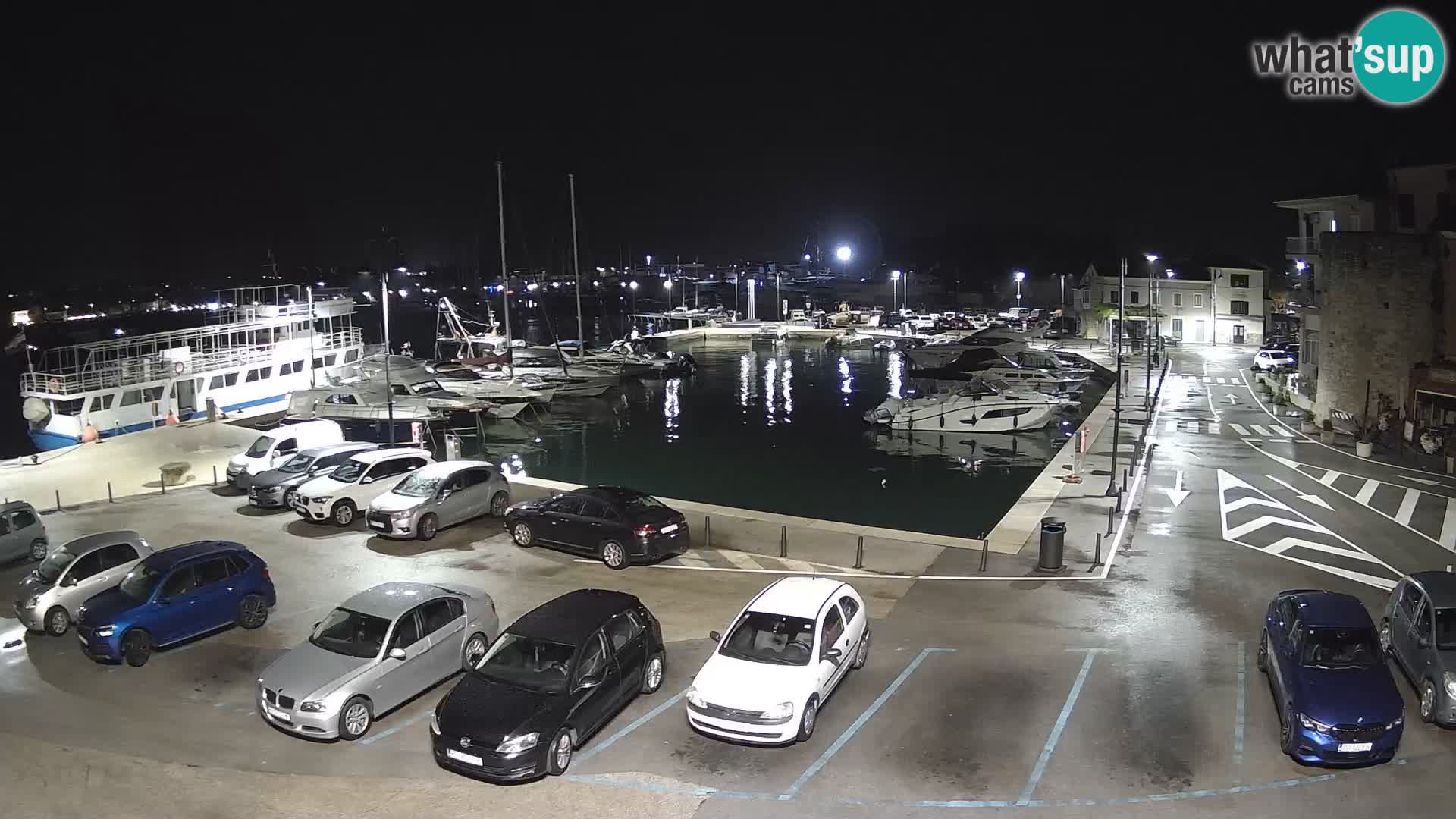 Novigrad | Porporela marina