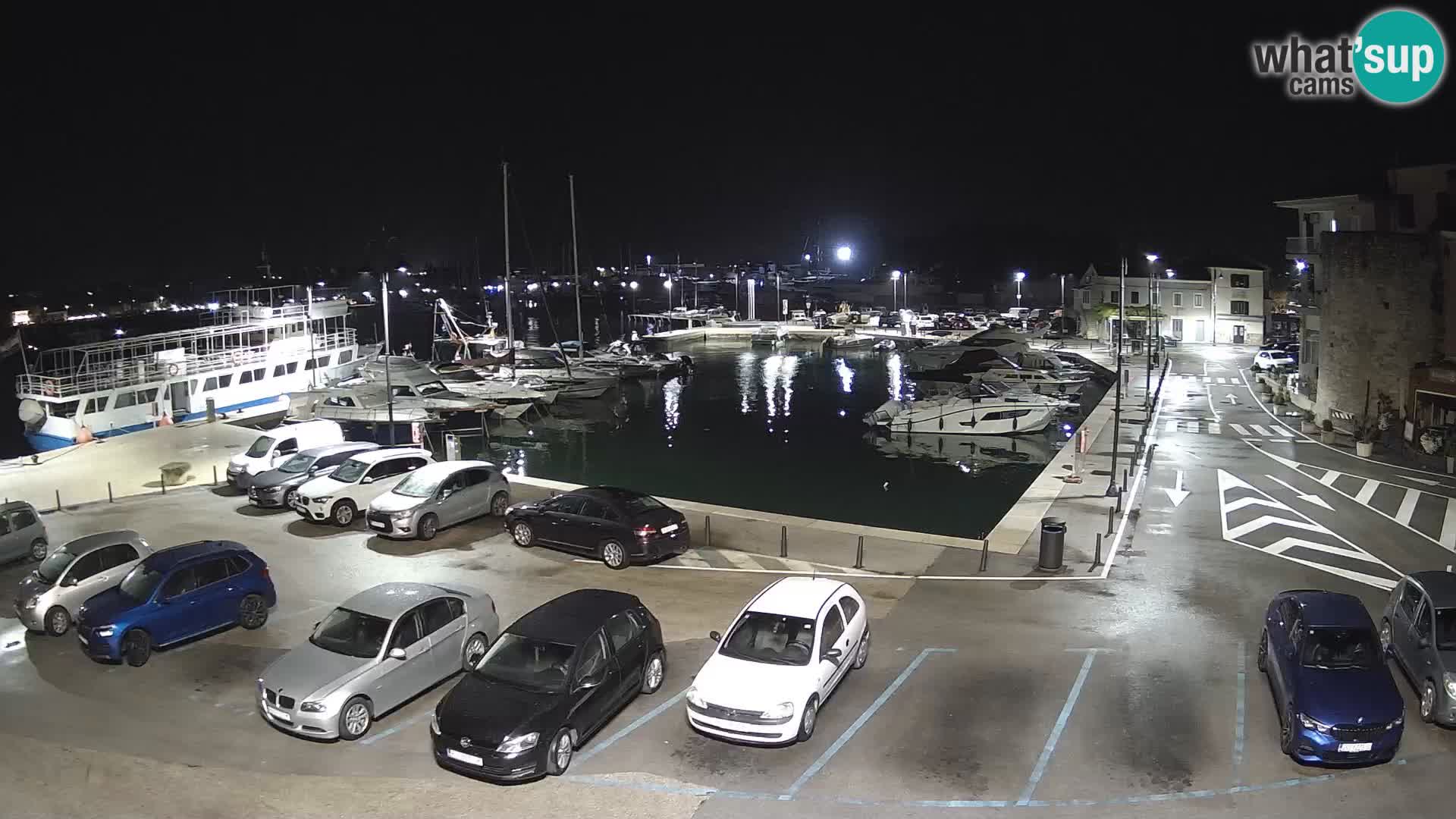 Novigrad | Porporela marina