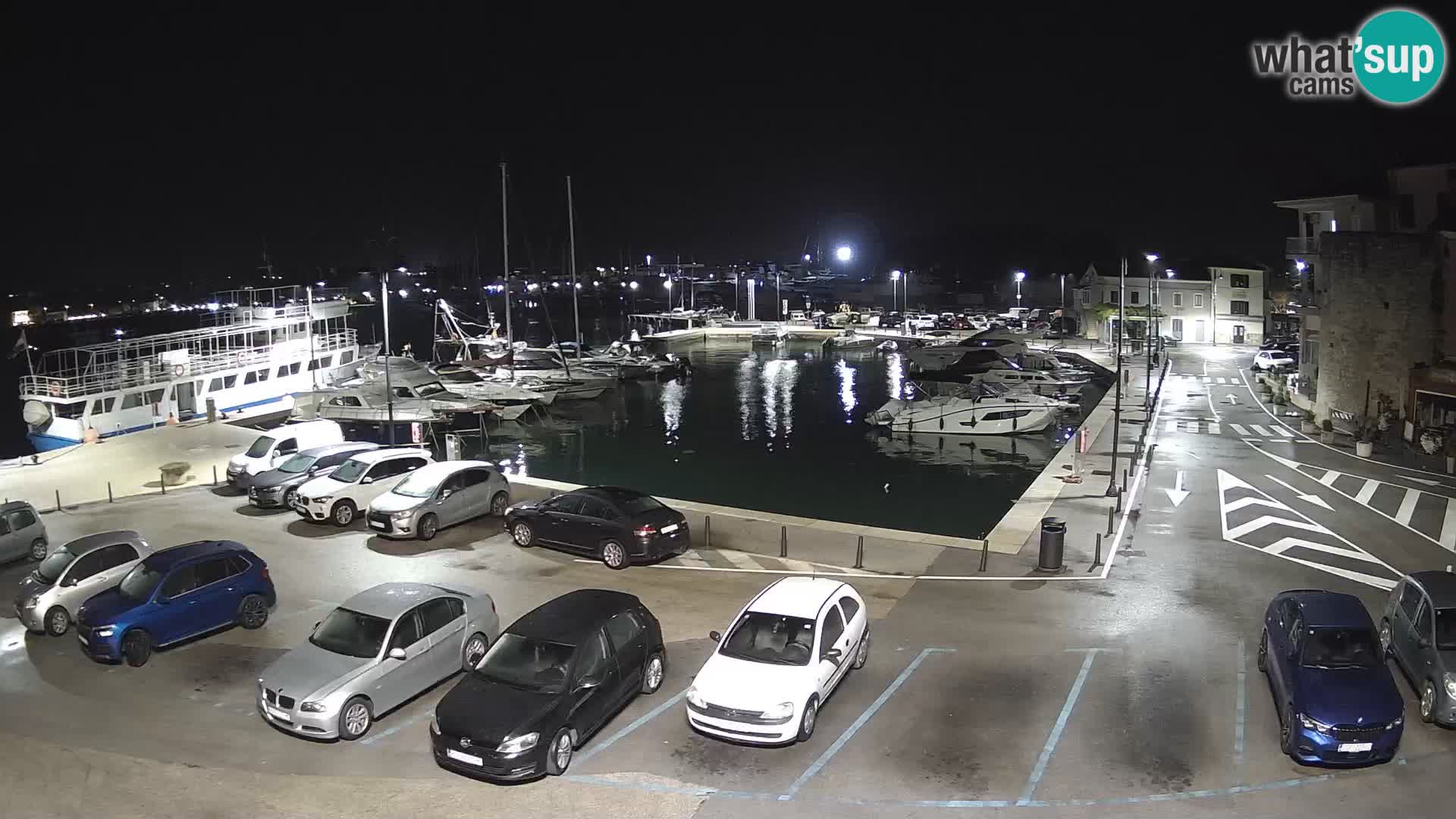 Novigrad | Porporela marina