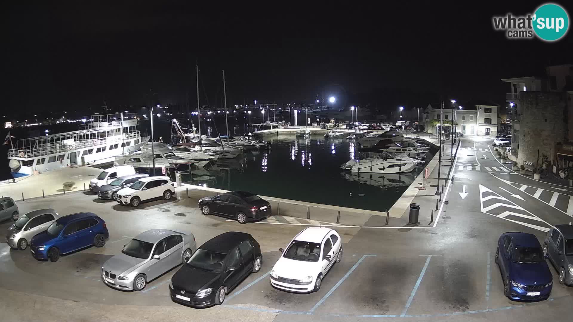Novigrad | Porporela marina
