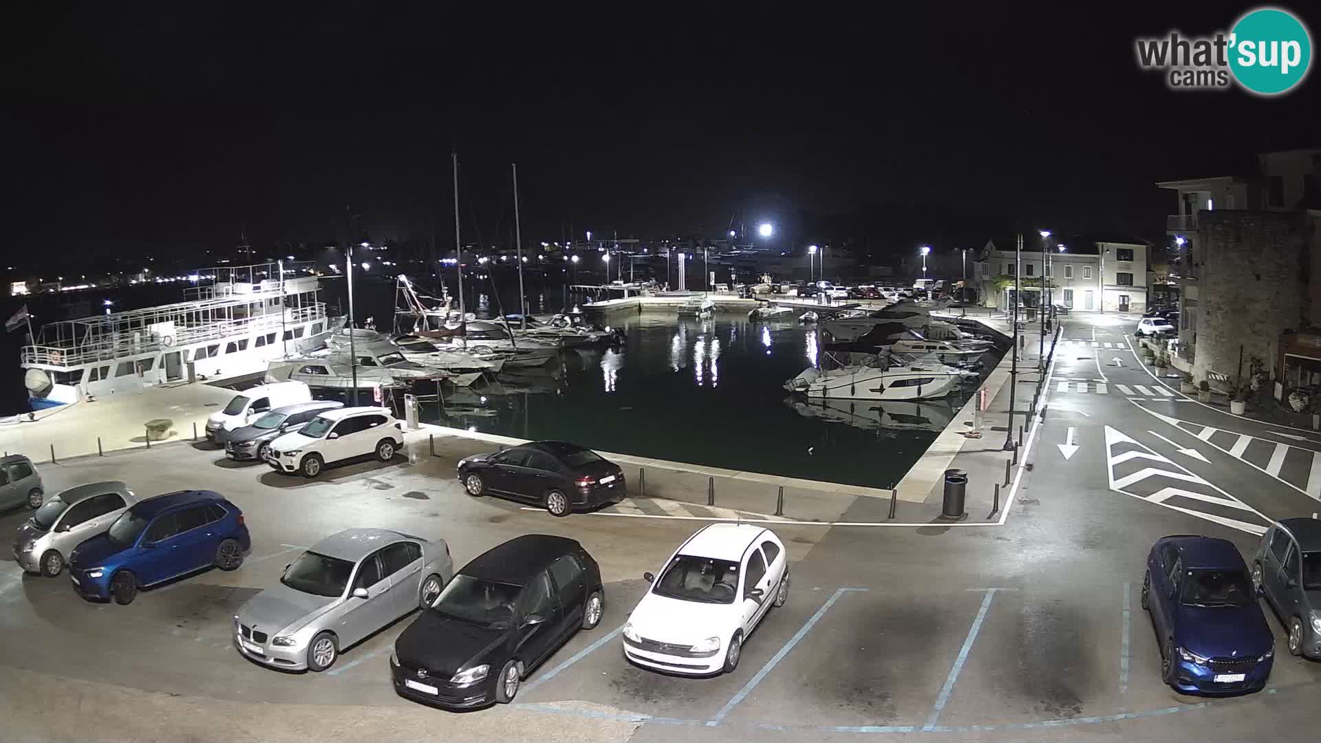 Novigrad | Porporela marina