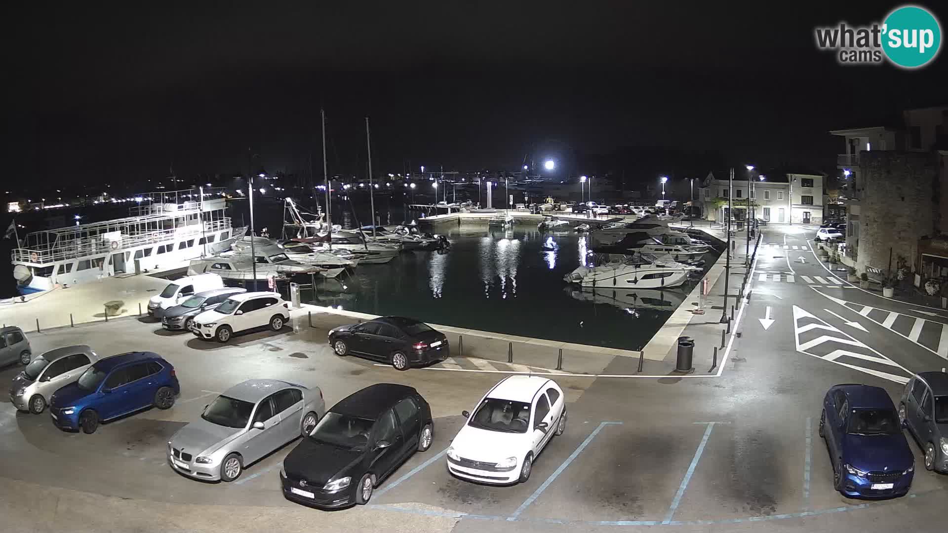 Novigrad | Porporela marina