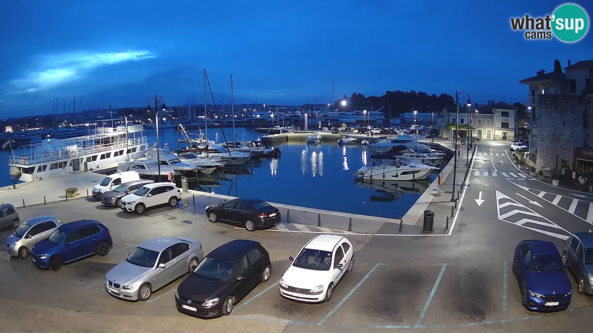 Novigrad | Porporela marina