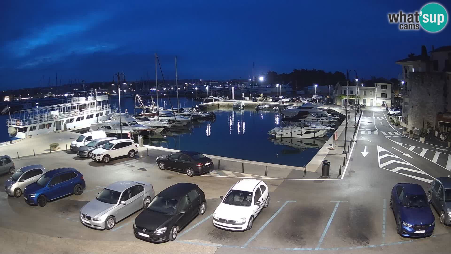 Novigrad | Porporela marina