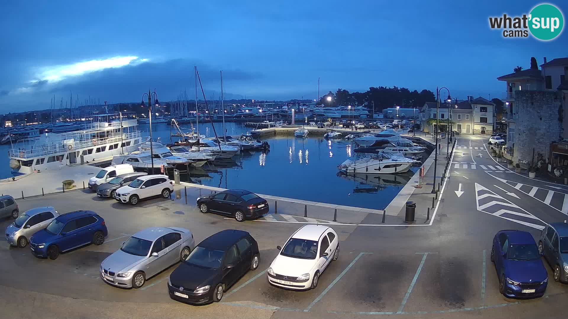 Novigrad | Porporela marina