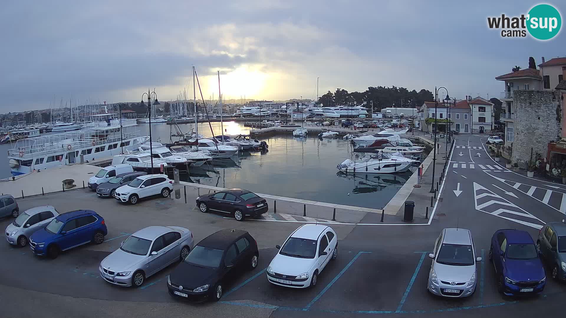 Novigrad | Porporela marina