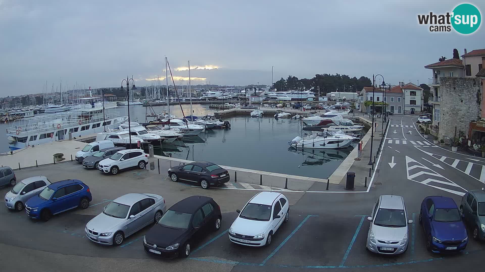 Novigrad | Porporela marina