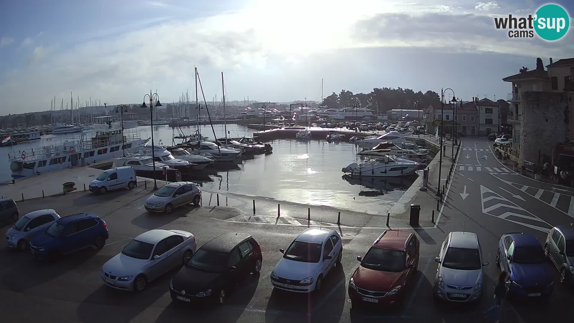Novigrad | Porporela marina