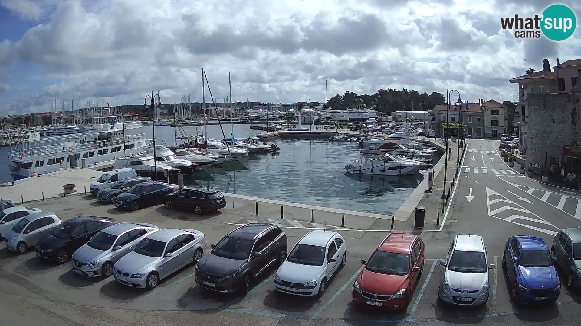 Novigrad | Porporela marina