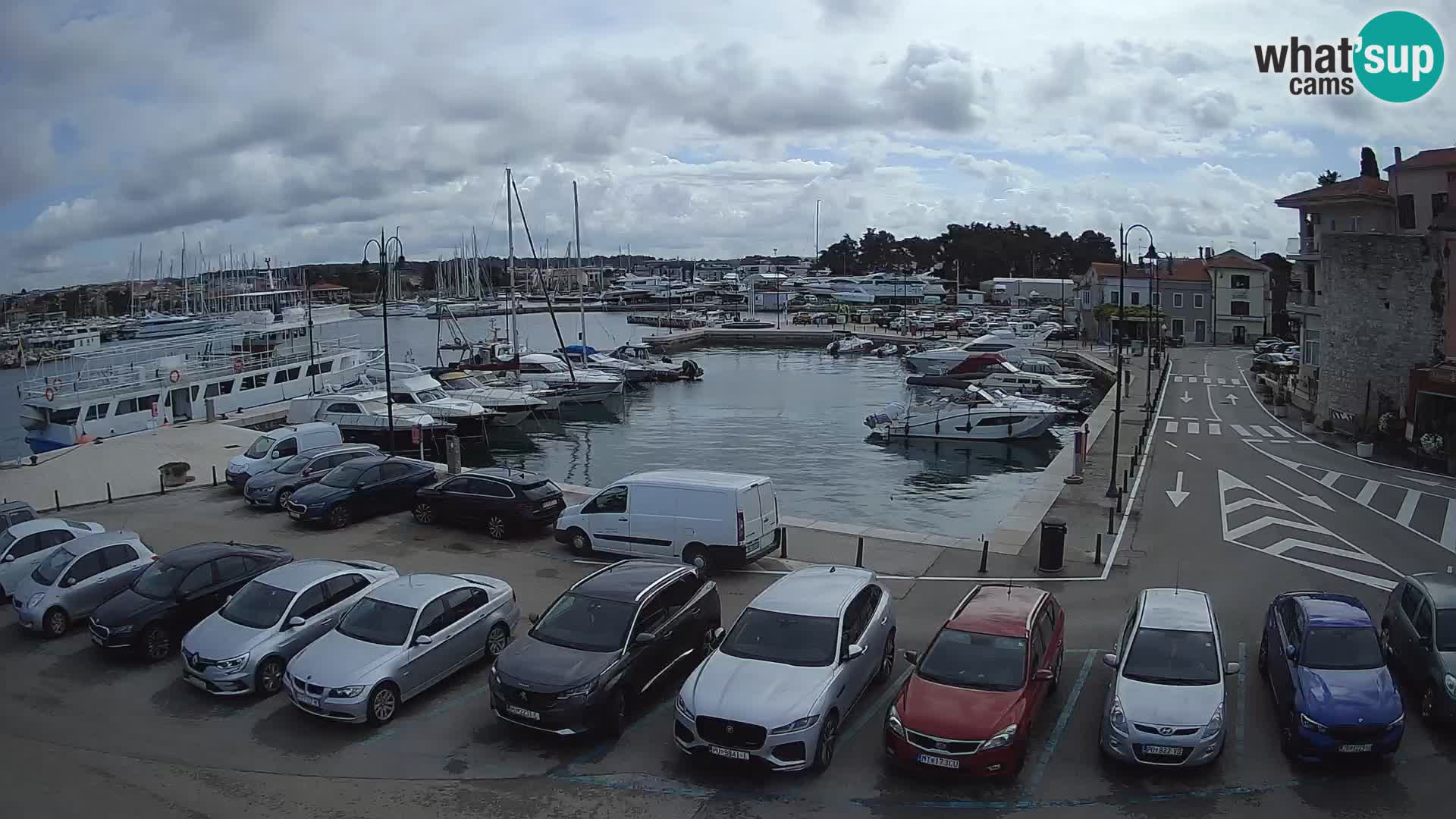 Novigrad | Porporela marina