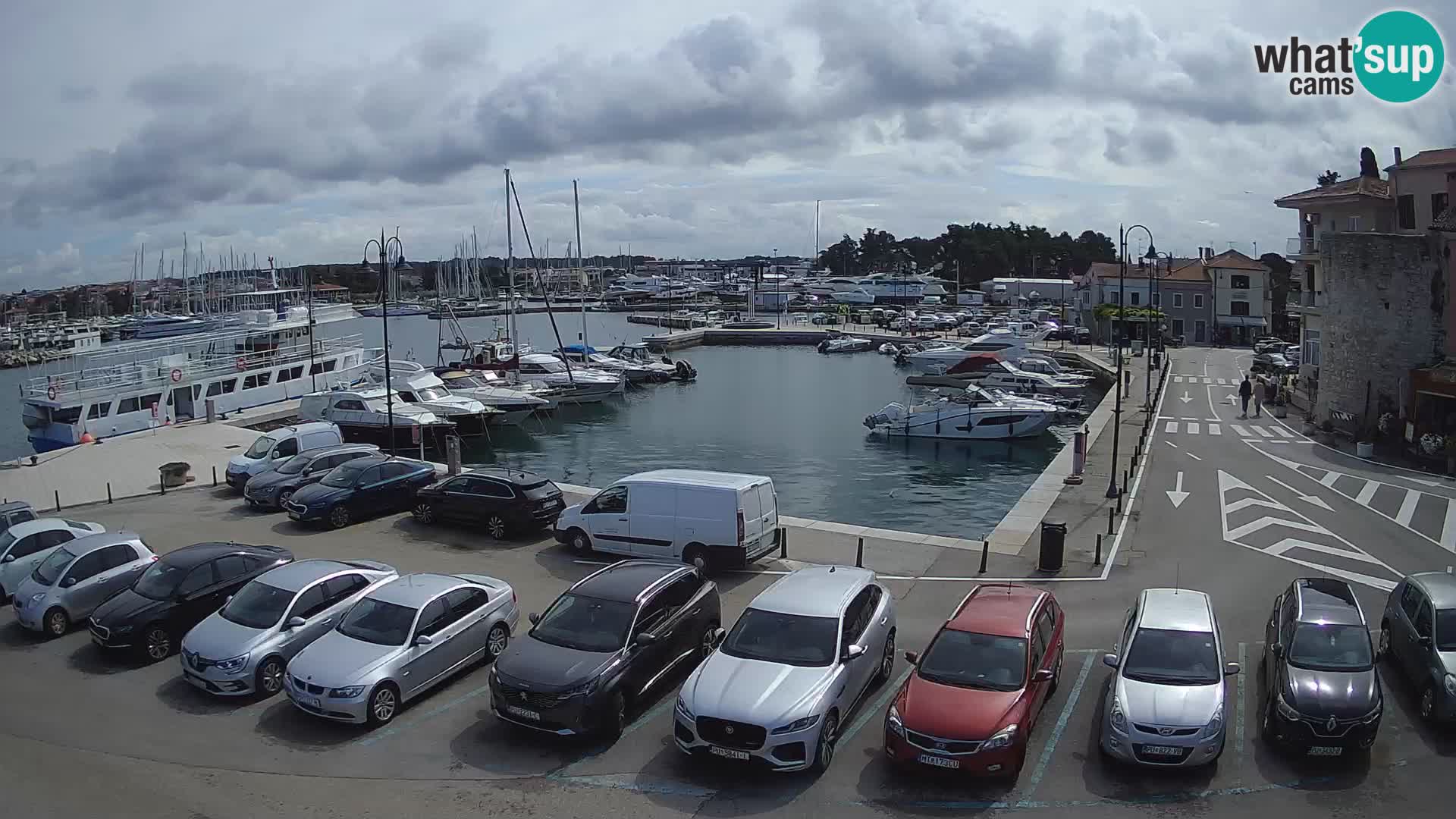 Novigrad | Porporela marina