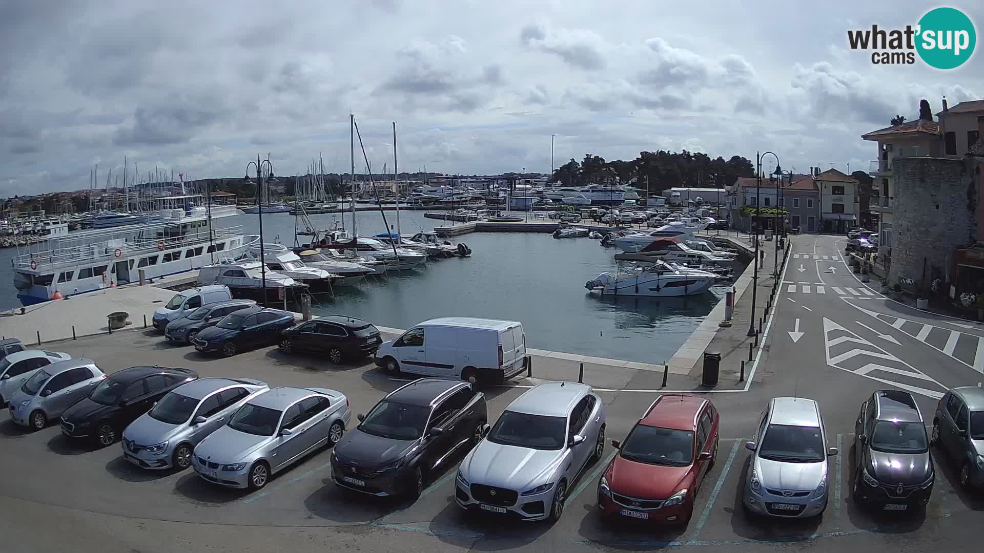 Novigrad | Porporela marina