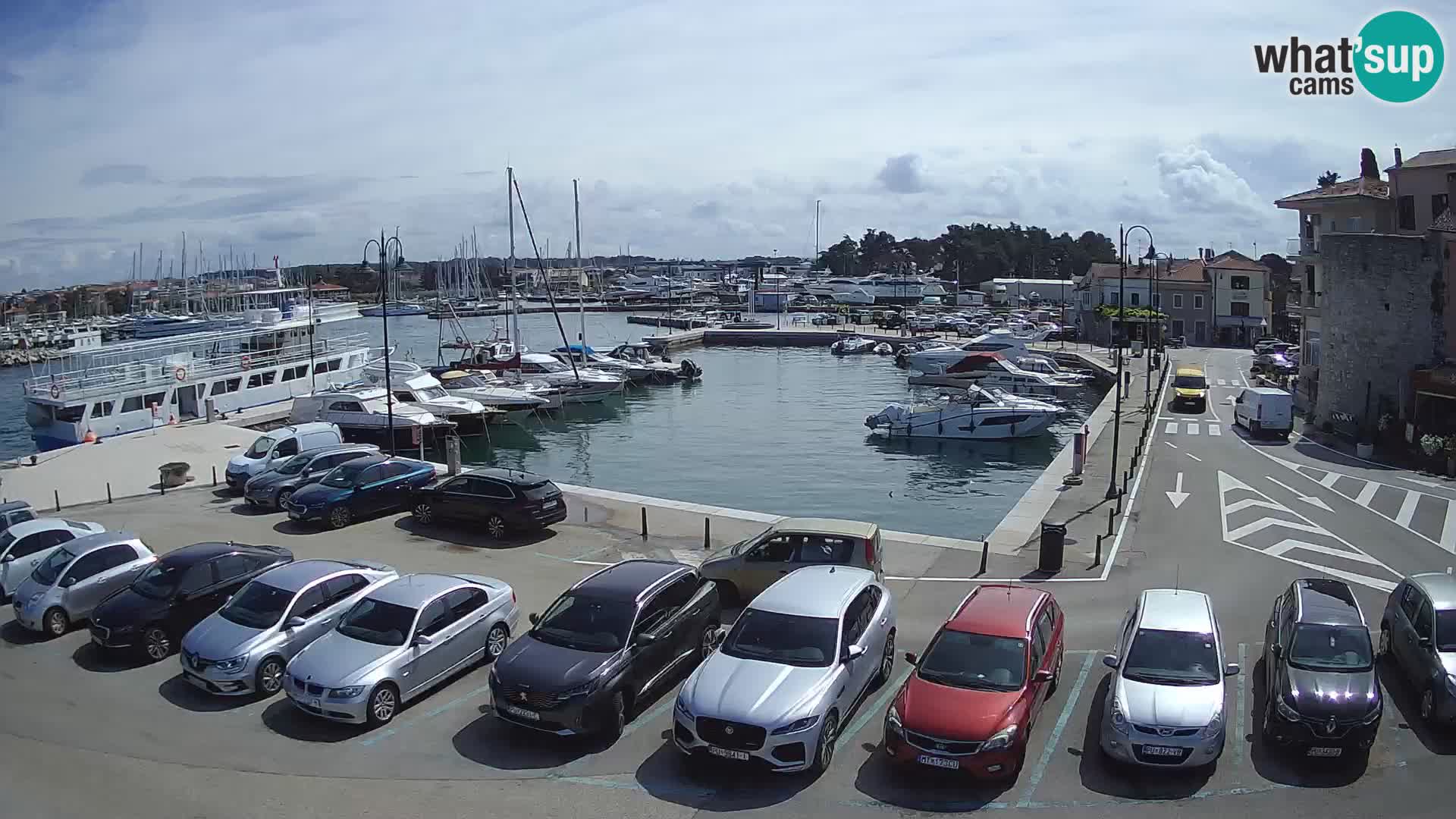 Novigrad | Porporela marina