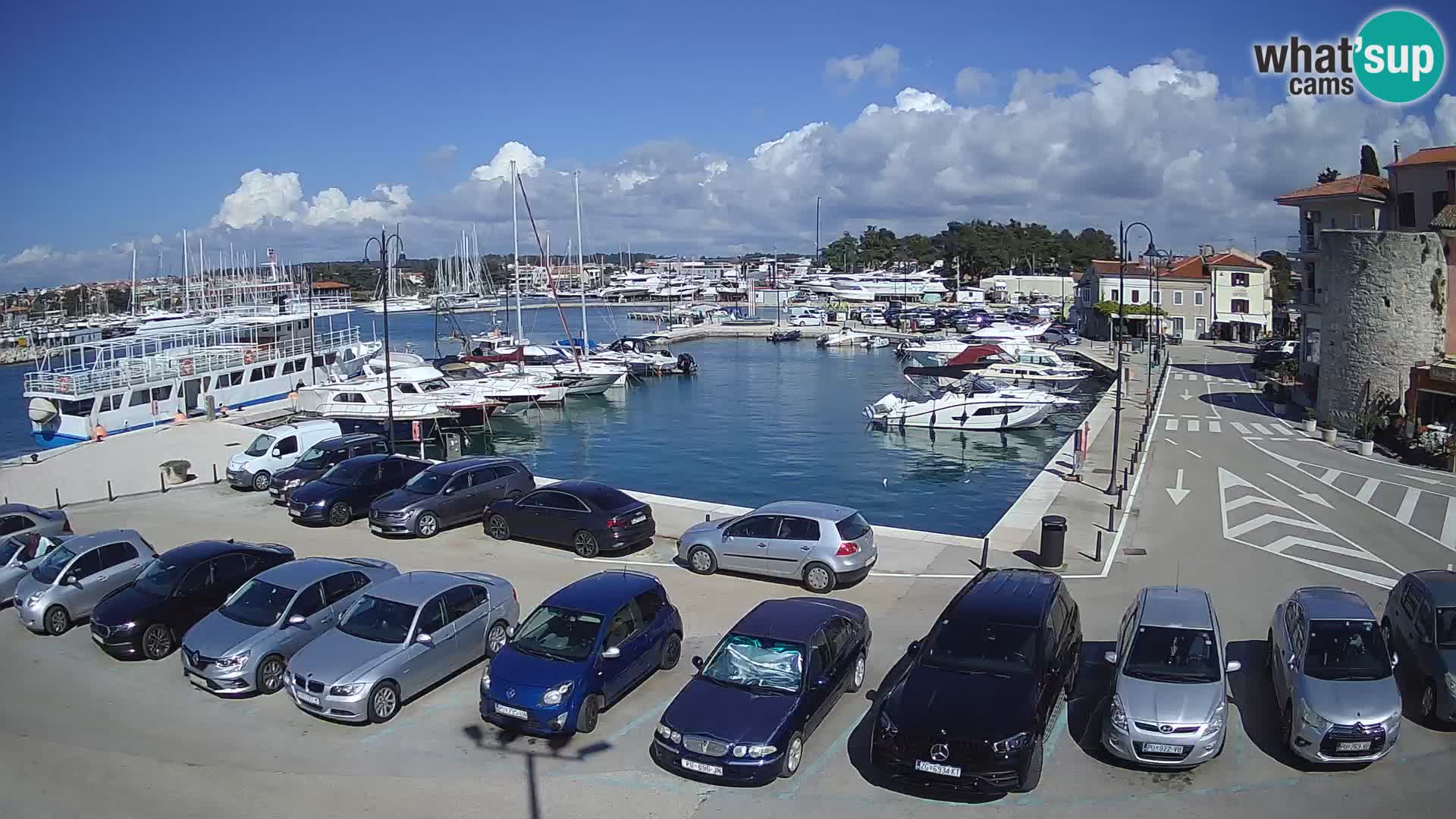 Novigrad | Porporela marina