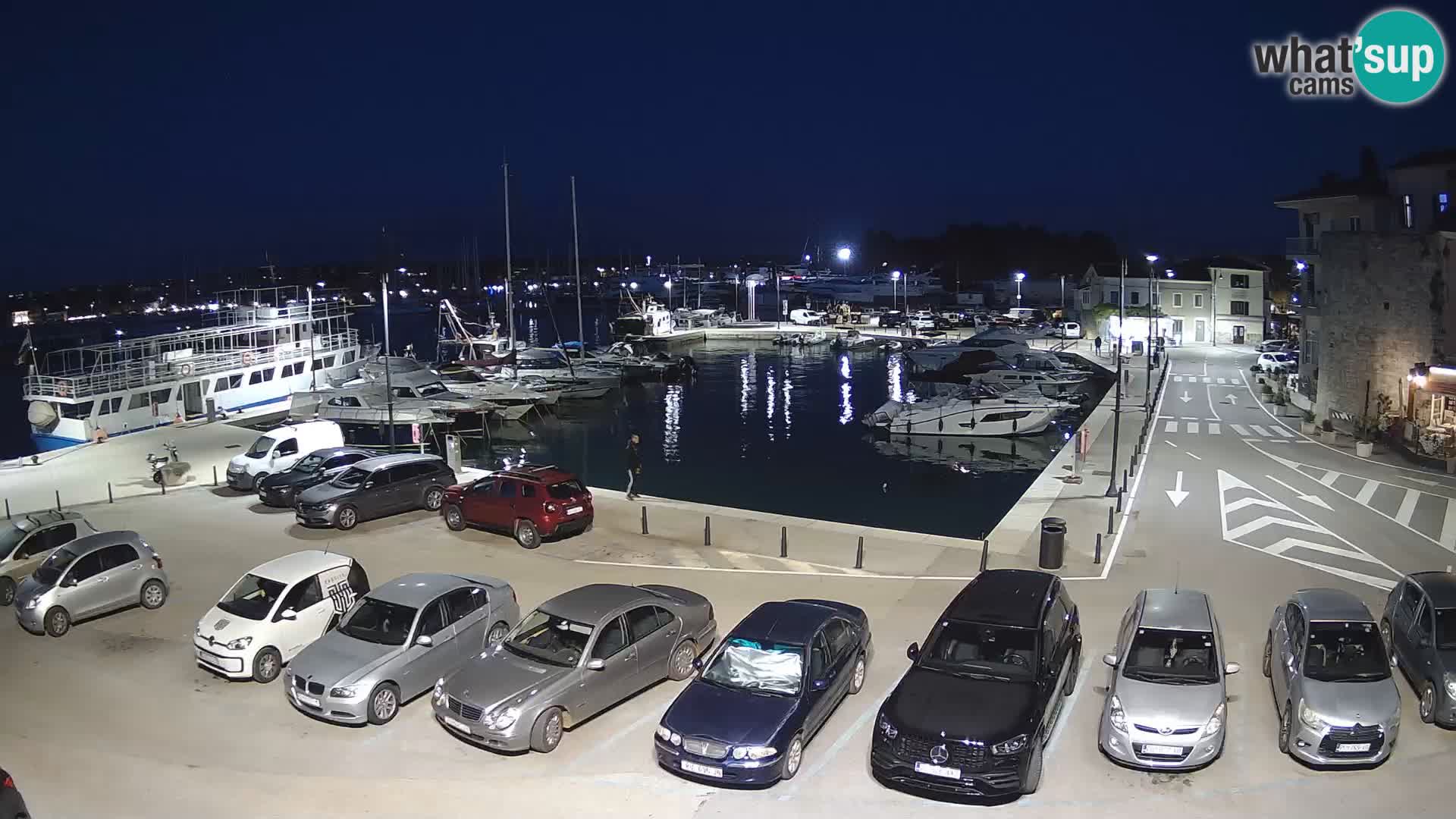 Novigrad | Porporela marina