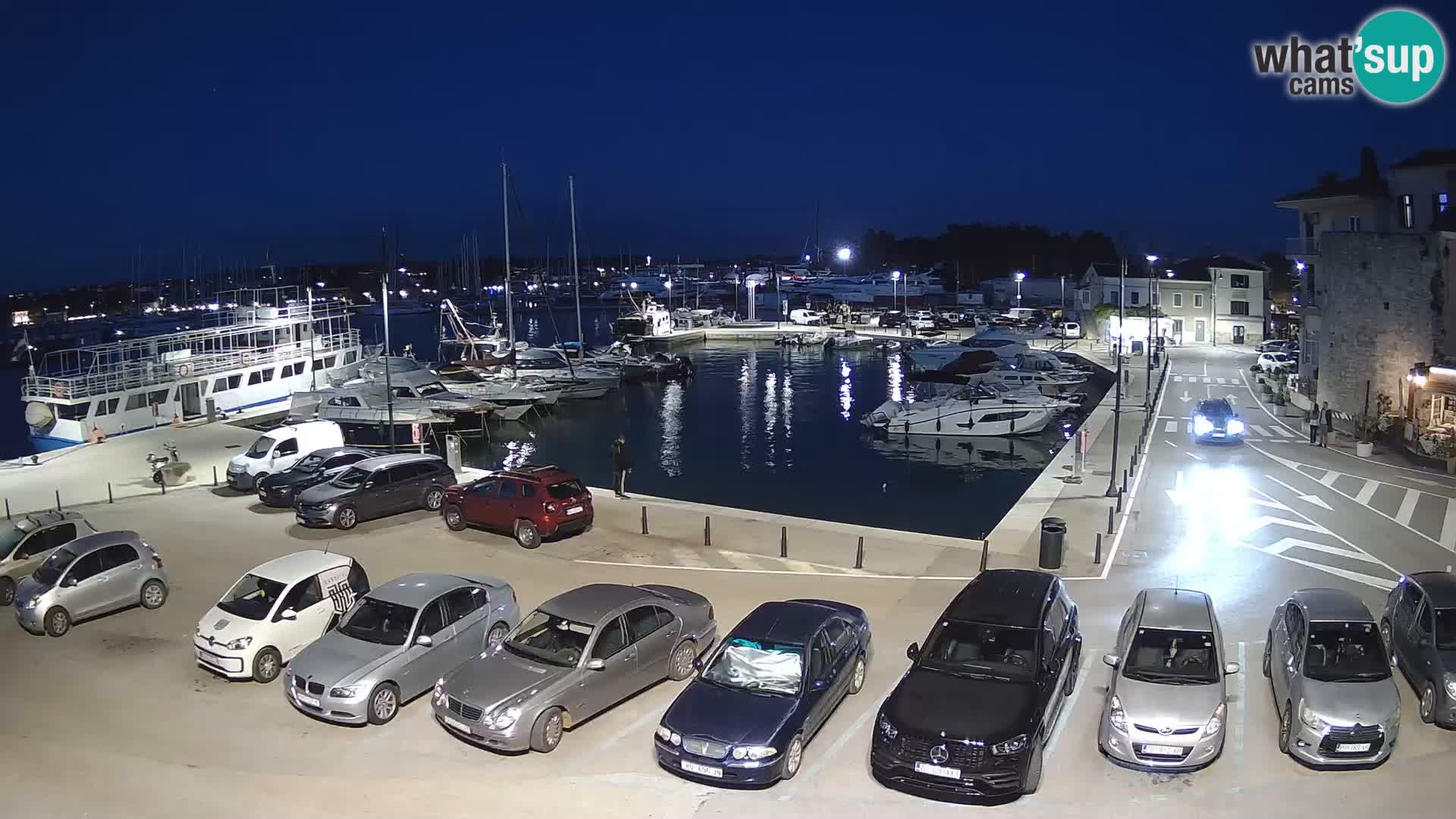 Novigrad | Porporela marina