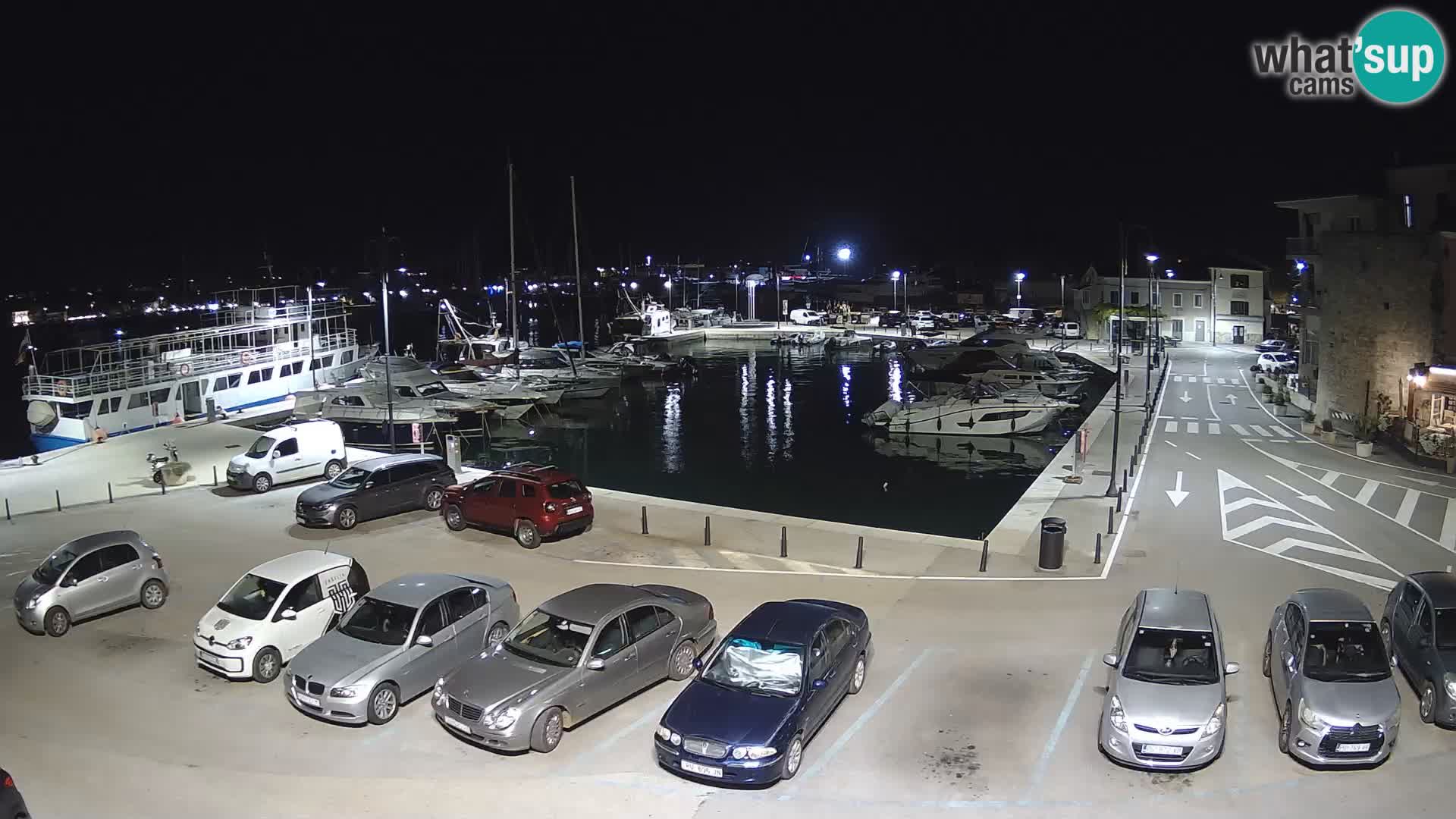 Novigrad | Porporela marina