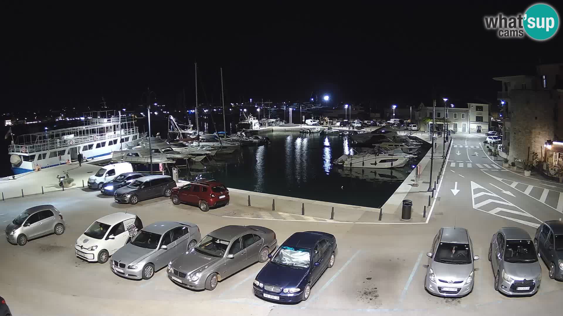 Novigrad | Porporela marina