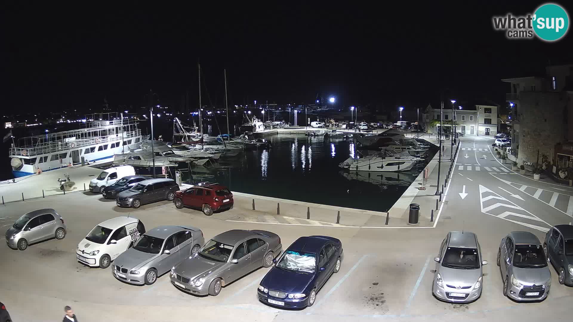 Novigrad | Porporela marina