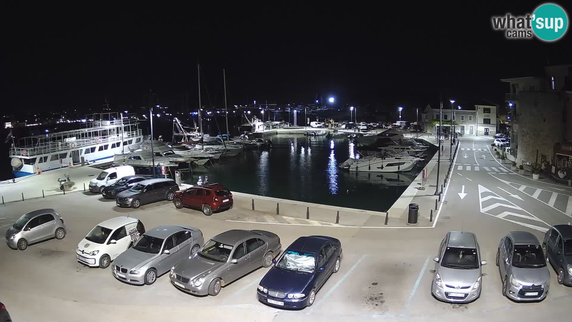 Novigrad | Porporela marina
