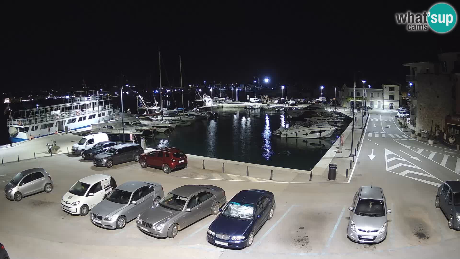 Novigrad | Porporela marina
