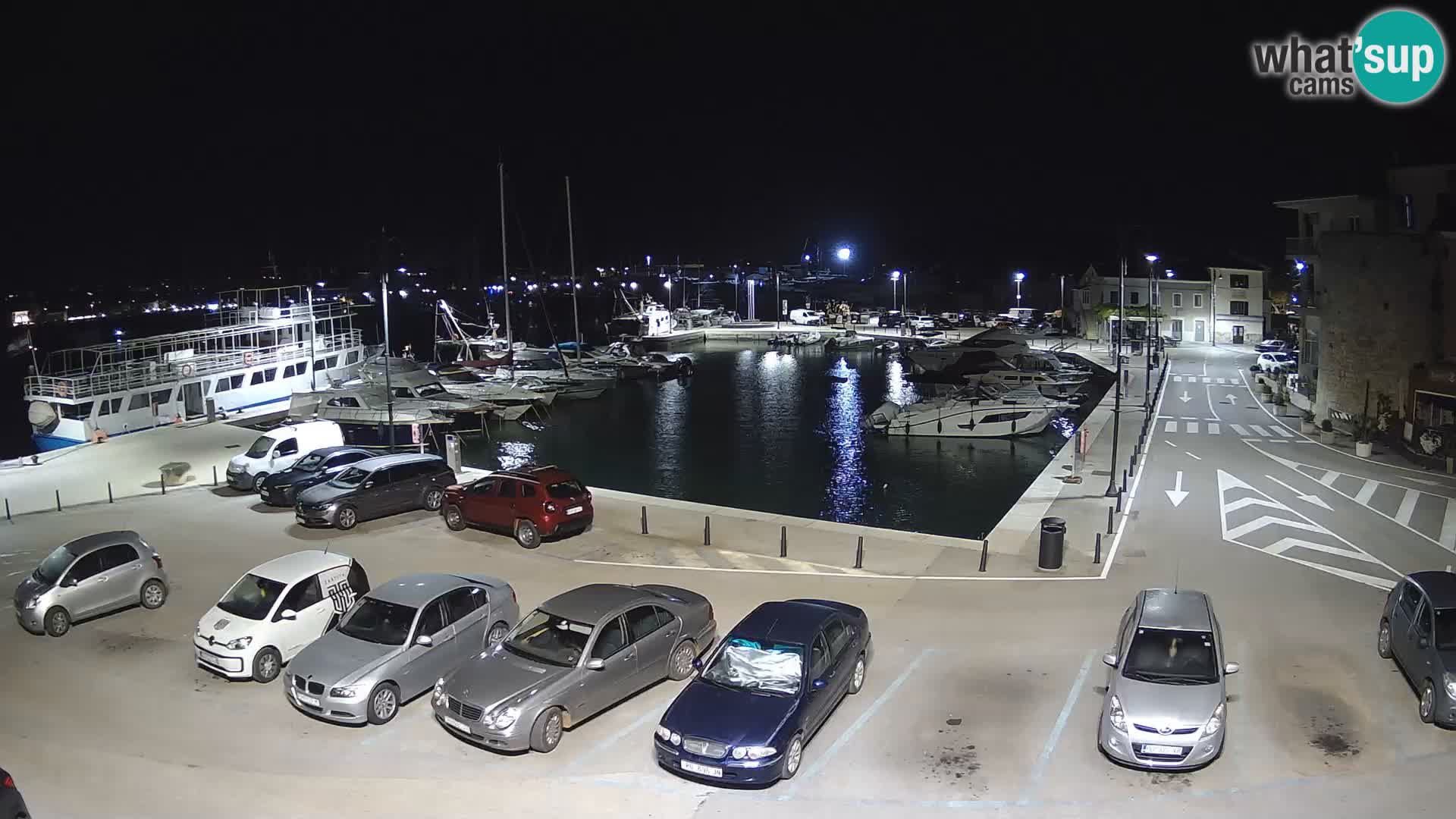 Novigrad | Porporela marina