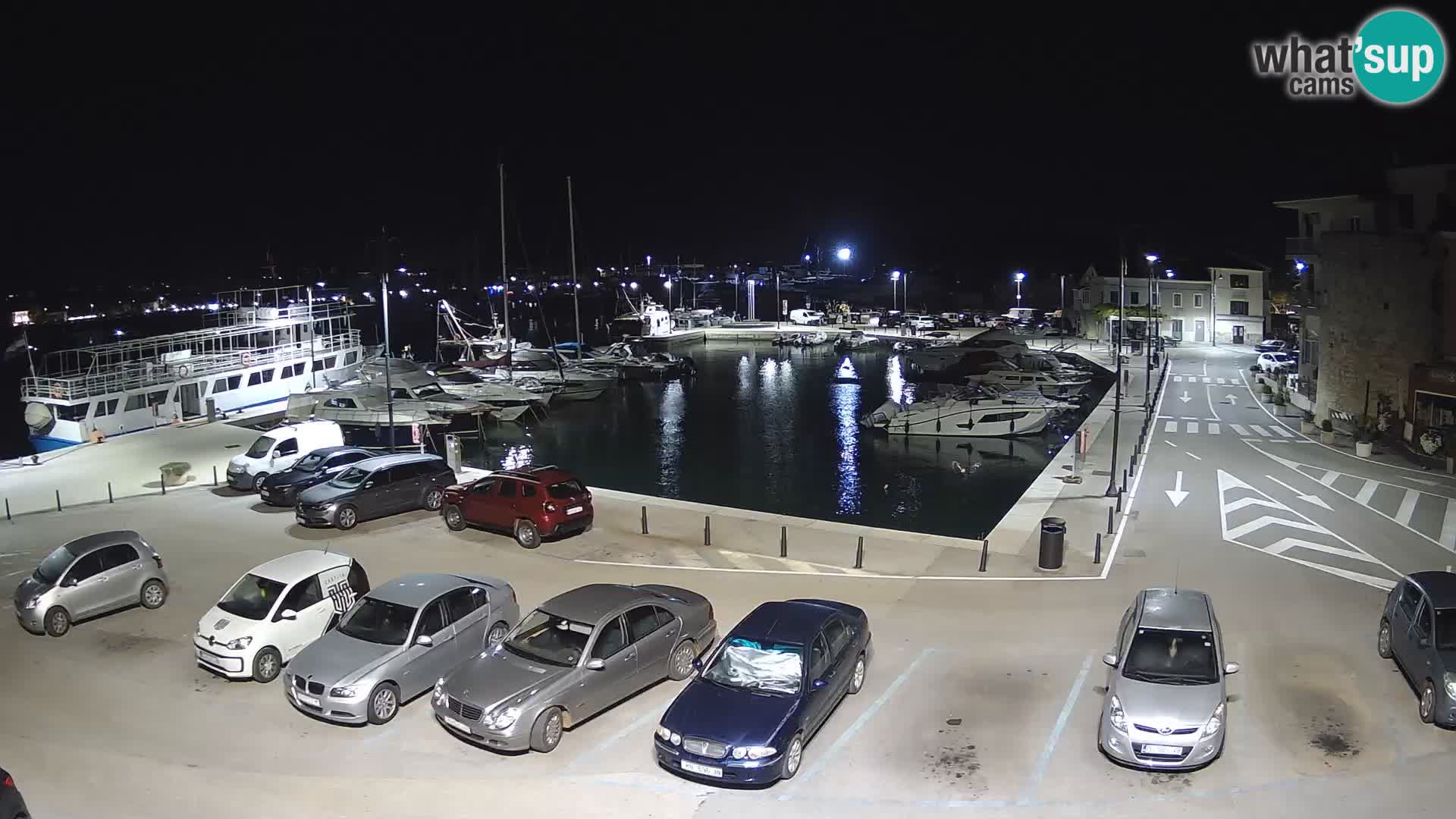 Novigrad | Porporela marina