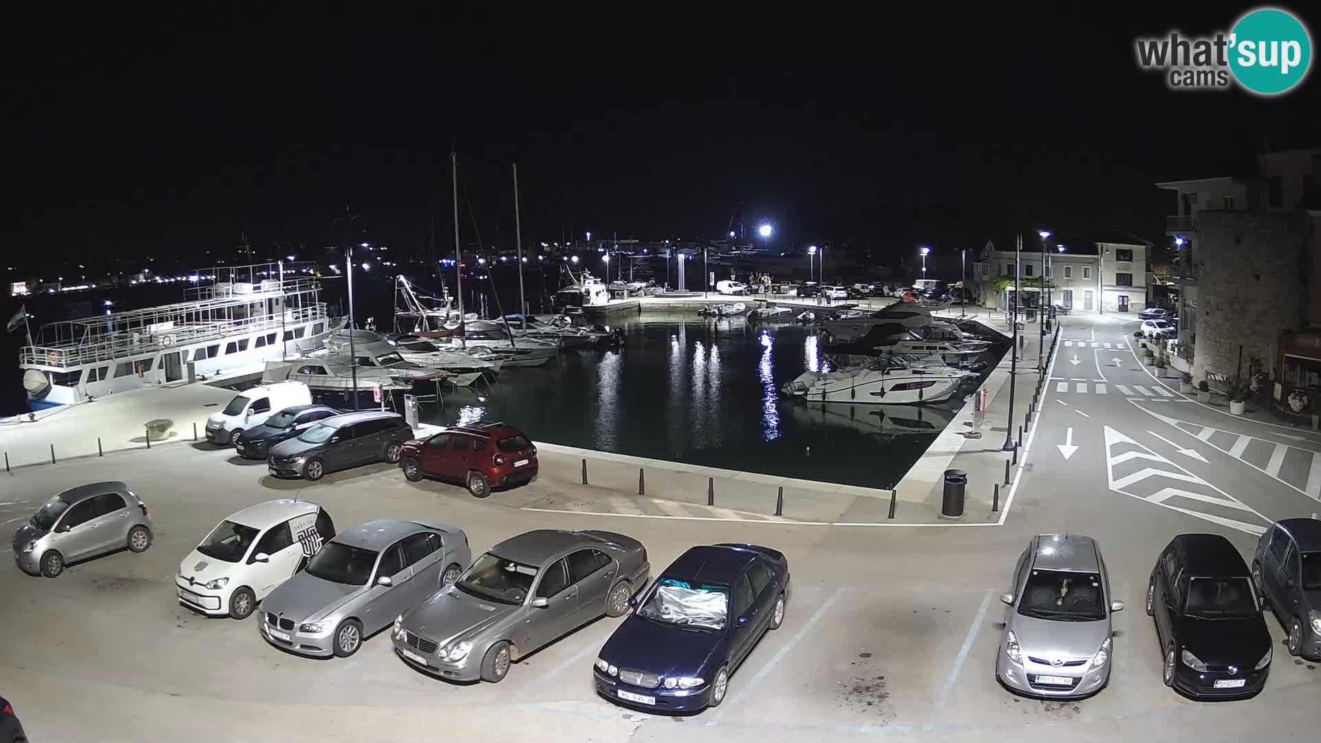 Novigrad | Porporela marina